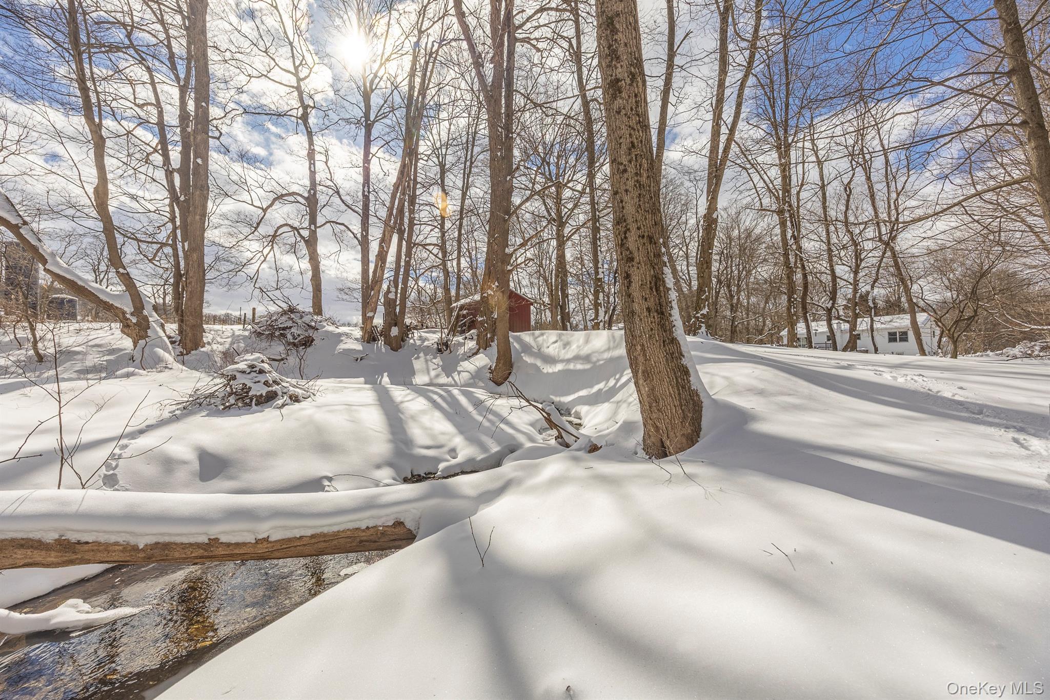 Single Family Layton  Dutchess County, NY 12581, MLS-965600-26