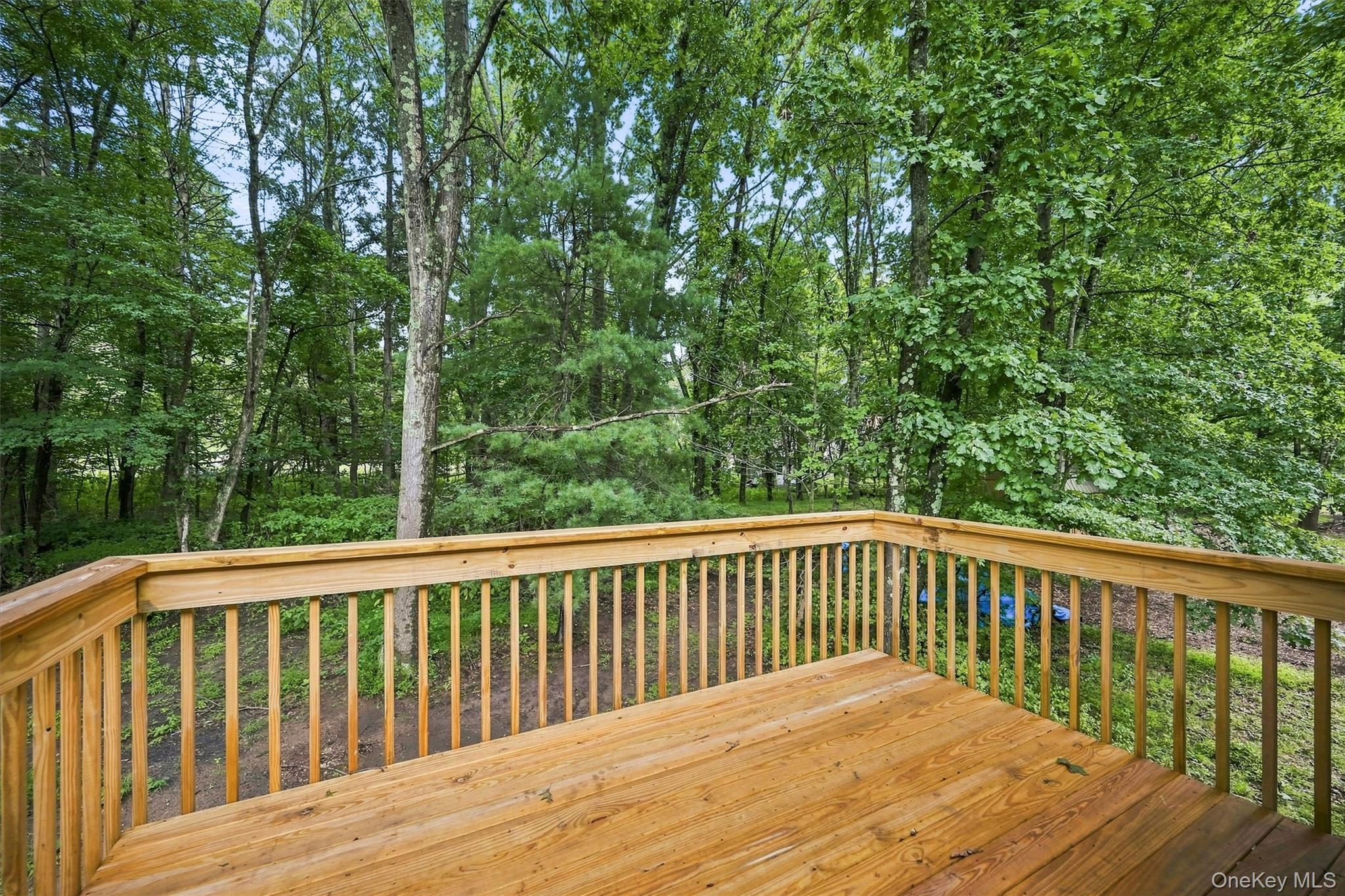 Single Family Mark Drive Orange County, NY 12771, MLS-965601-34