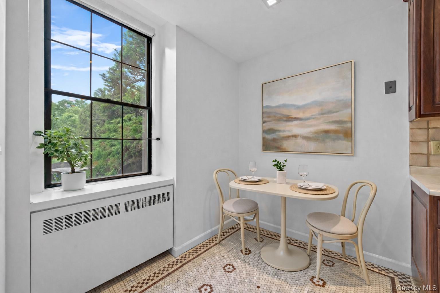 Condo Furnace Dock  Westchester County, NY 10567, MLS-965621-14