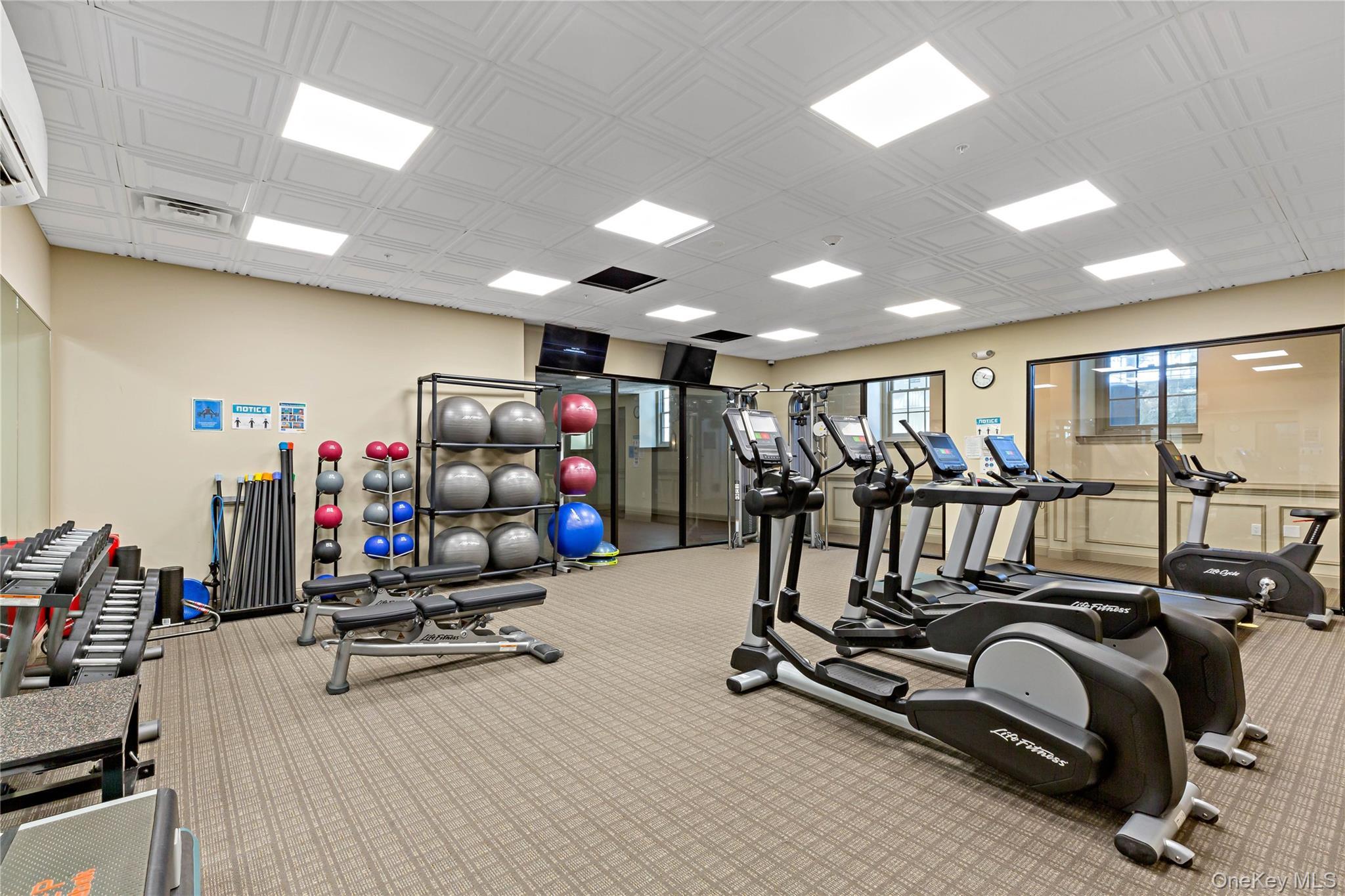 Condo Furnace Dock  Westchester County, NY 10567, MLS-965621-32