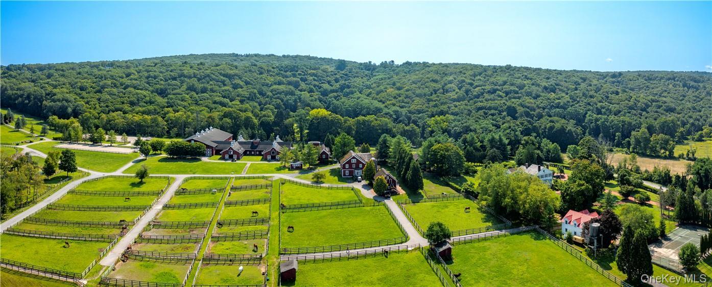 Single Family Kirby Hill Road Dutchess County, NY 12564, MLS-965662-35