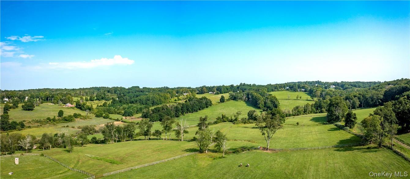 Single Family Kirby Hill Road Dutchess County, NY 12564, MLS-965662-7