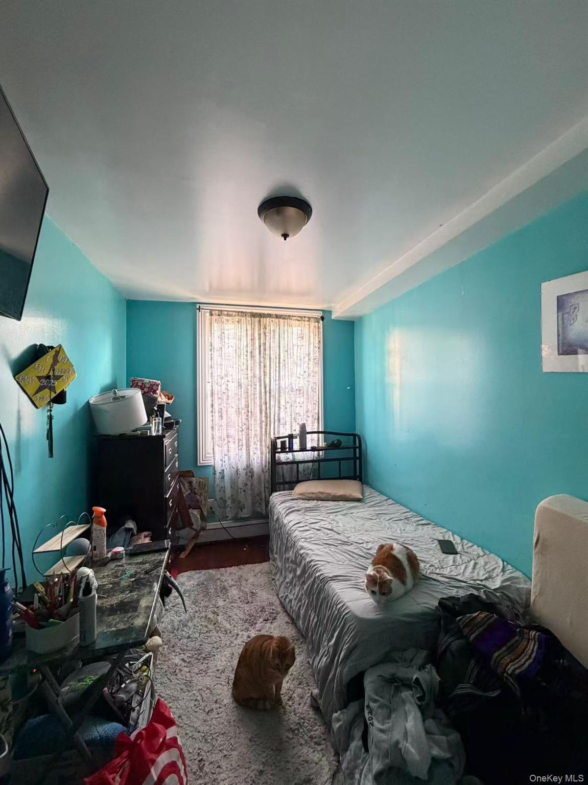 Single Family 39th Queens, NY 11368, MLS-965675-9