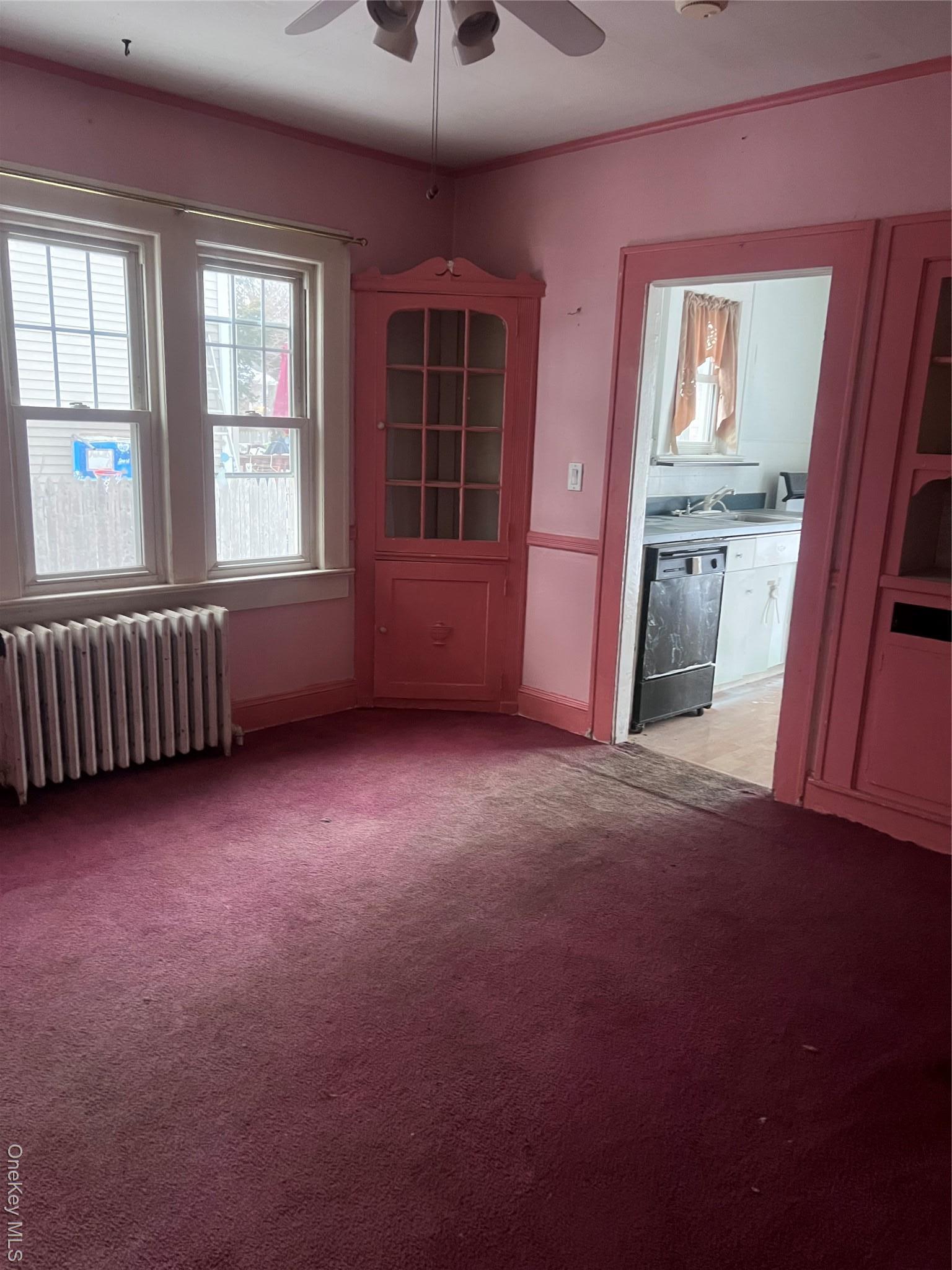 Single Family Park Nassau County, NY 11520, MLS-965748-4