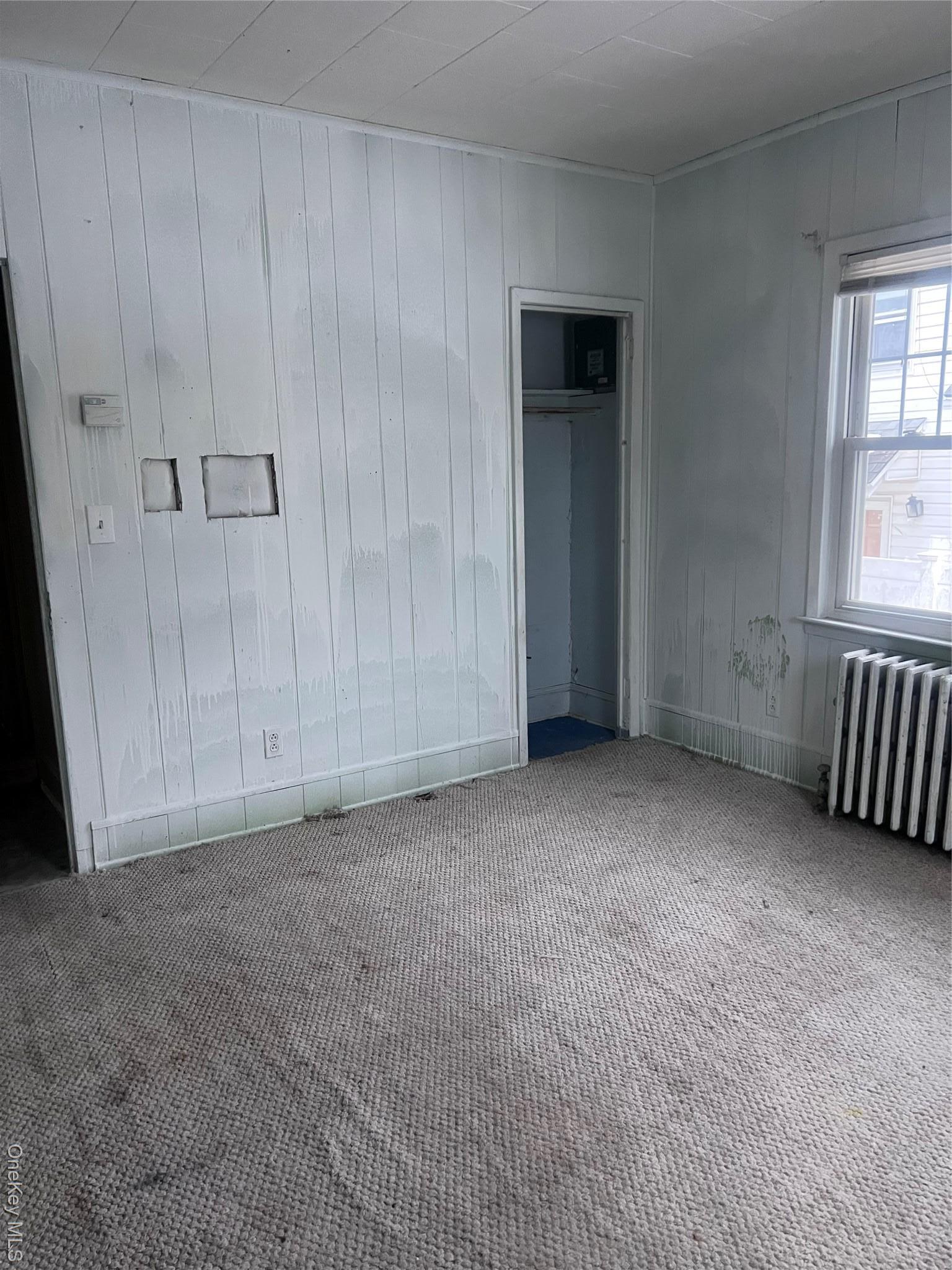 Single Family Park Nassau County, NY 11520, MLS-965748-7