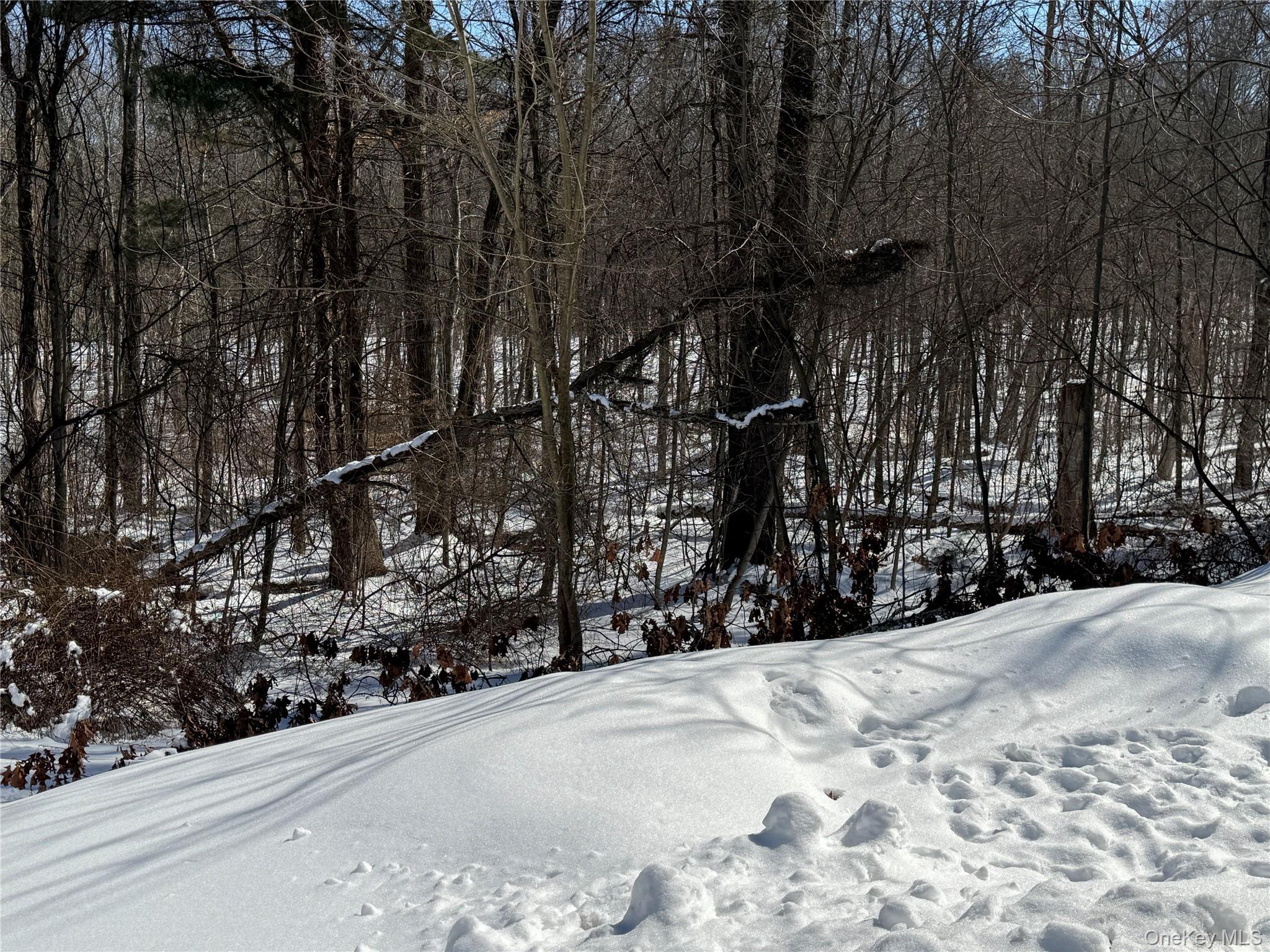 Single Family Ellen (aka Forest Park)  Ulster County, NY 12589, MLS-965786-18