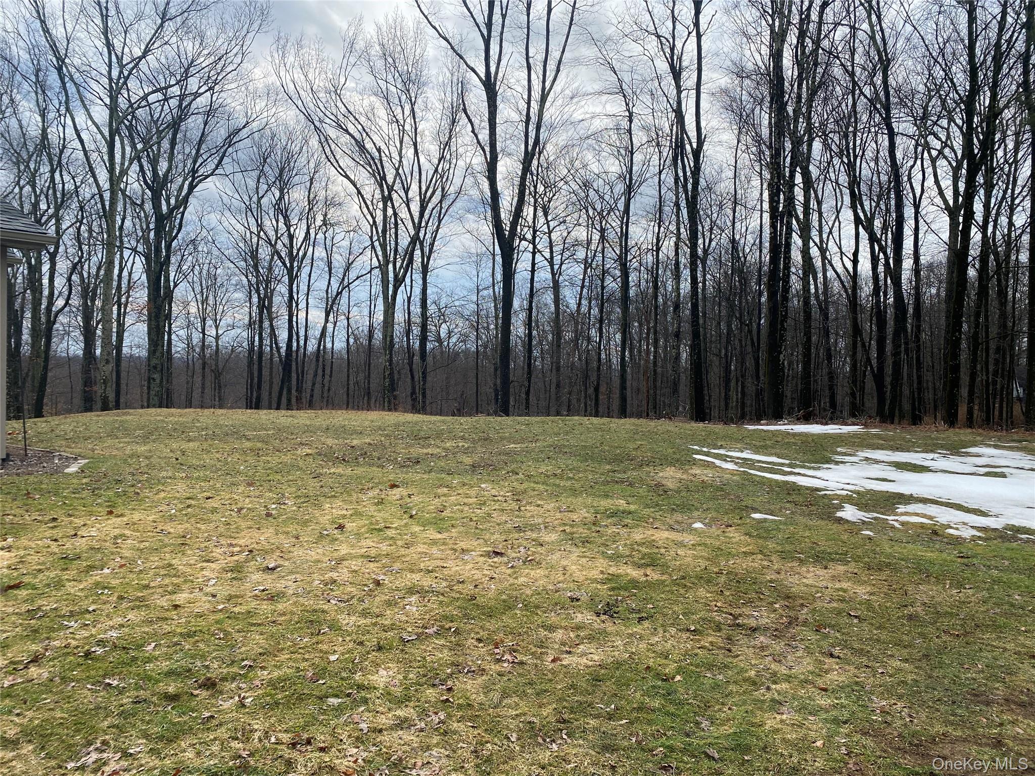 Single Family Roosa Gap  Sullivan County, NY 12721, MLS-965856-25