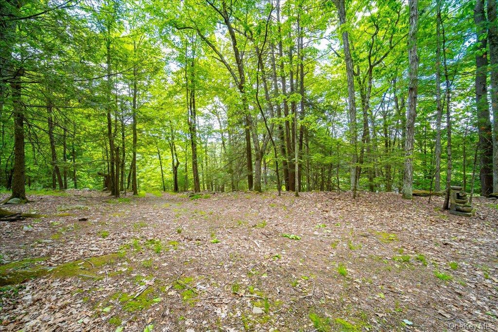 Single Family Red Star Road  Ulster County, NY 12435, MLS-965863-31