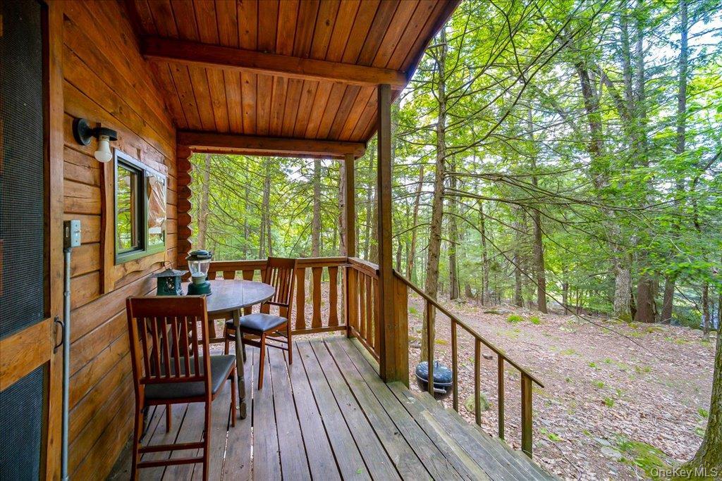 Single Family Red Star Road  Ulster County, NY 12435, MLS-965863-32