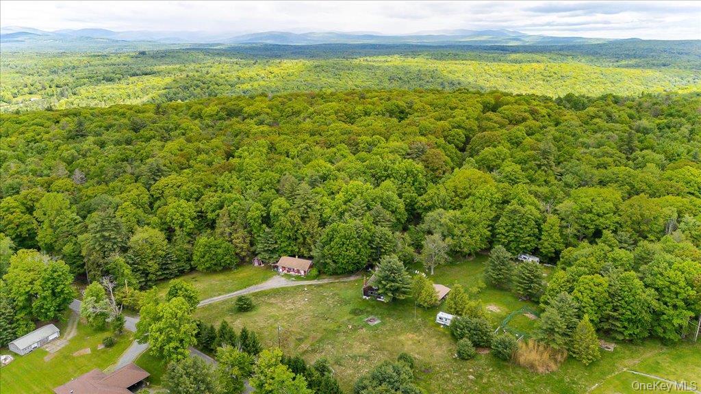 Single Family Red Star Road  Ulster County, NY 12435, MLS-965863-4