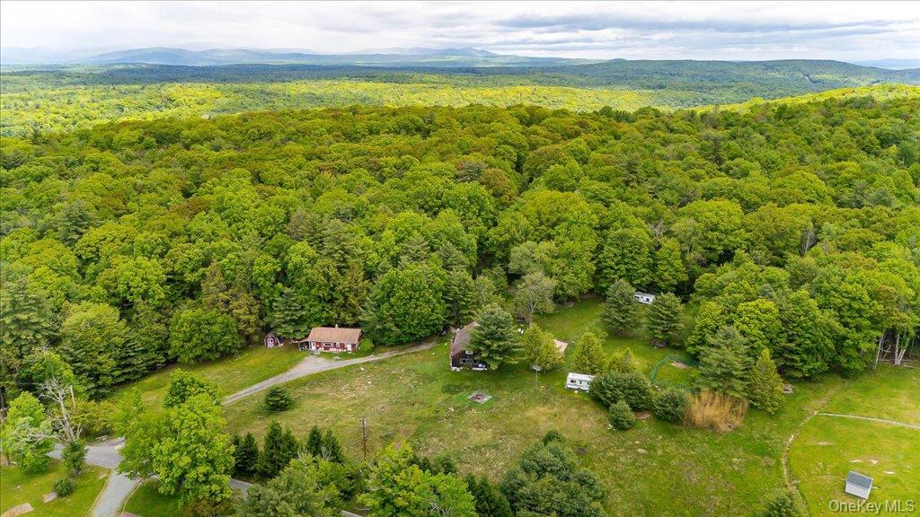 Single Family Red Star Road  Ulster County, NY 12435, MLS-965863-49