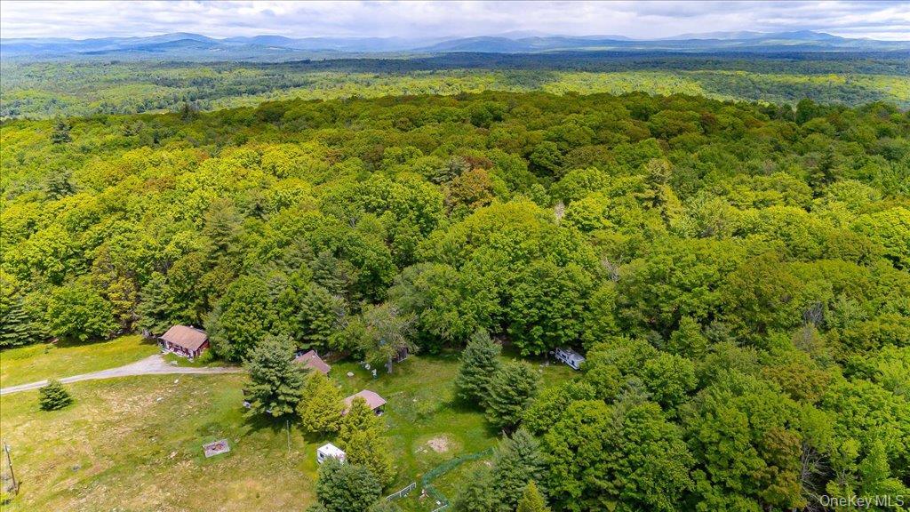 Single Family Red Star Road  Ulster County, NY 12435, MLS-965863-50