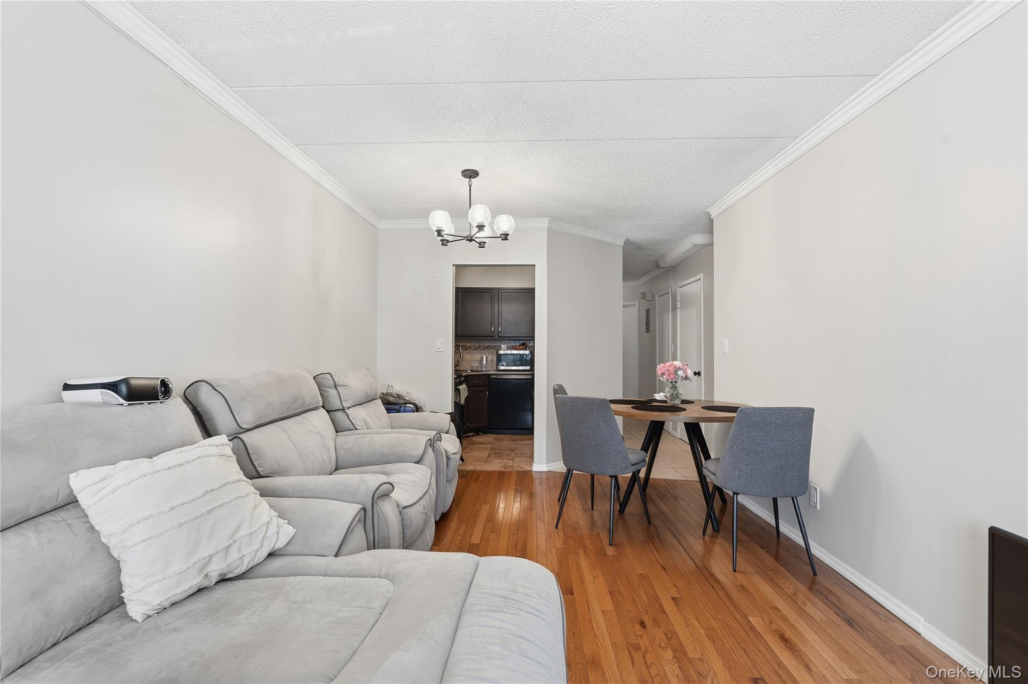 Single Family Home  Bronx, NY 10459, MLS-965878-20