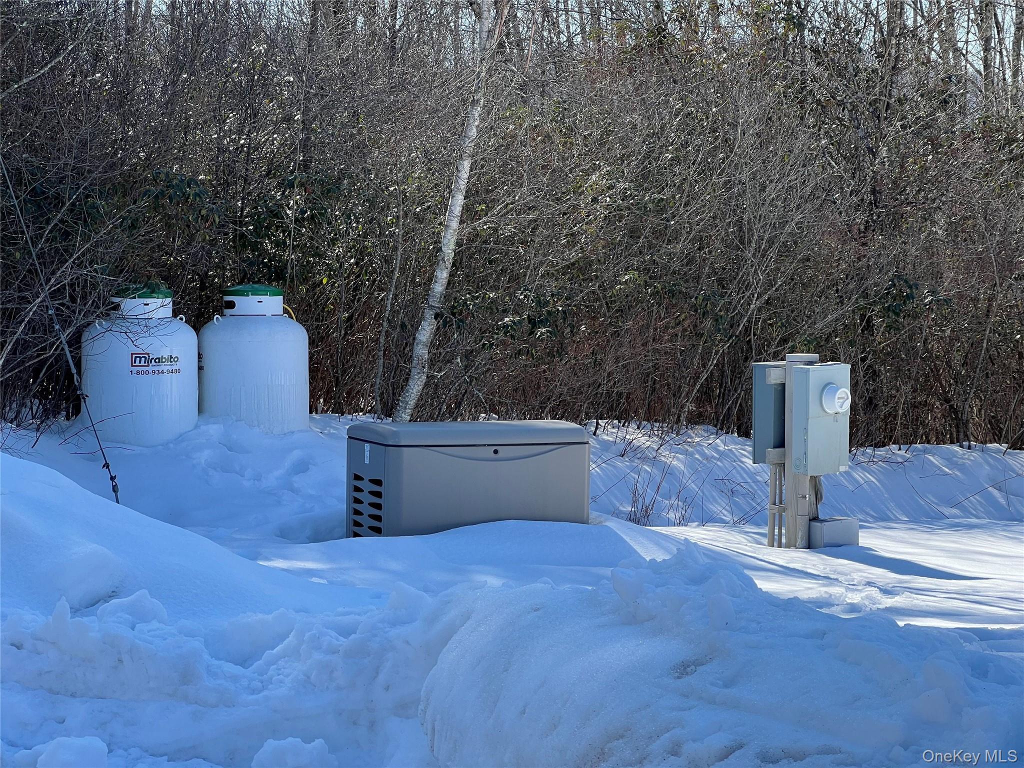 Single Family Midway  Sullivan County, NY 12754, MLS-965991-20