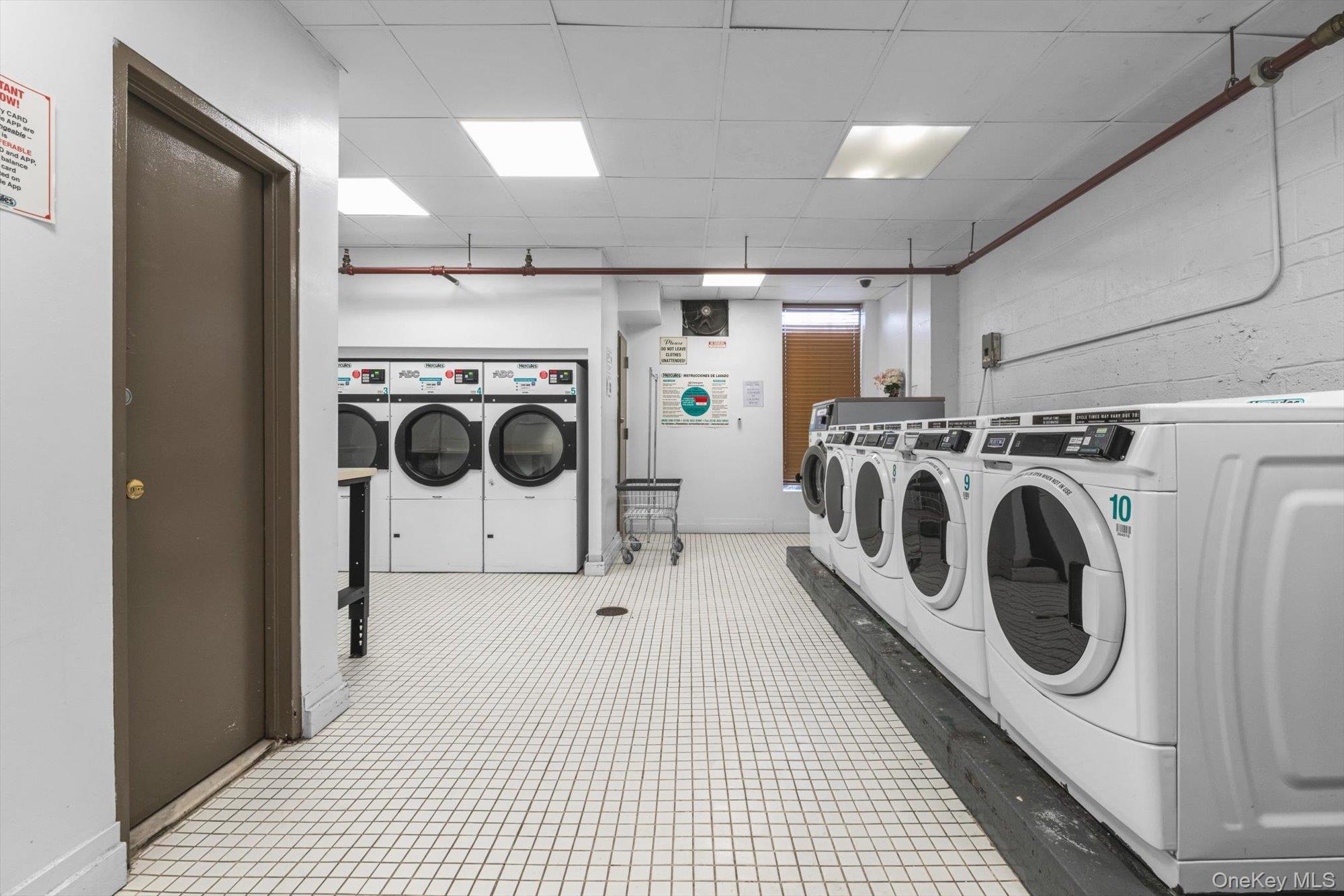 Condo Van Siclen  Brooklyn, NY 11207, MLS-966113-24