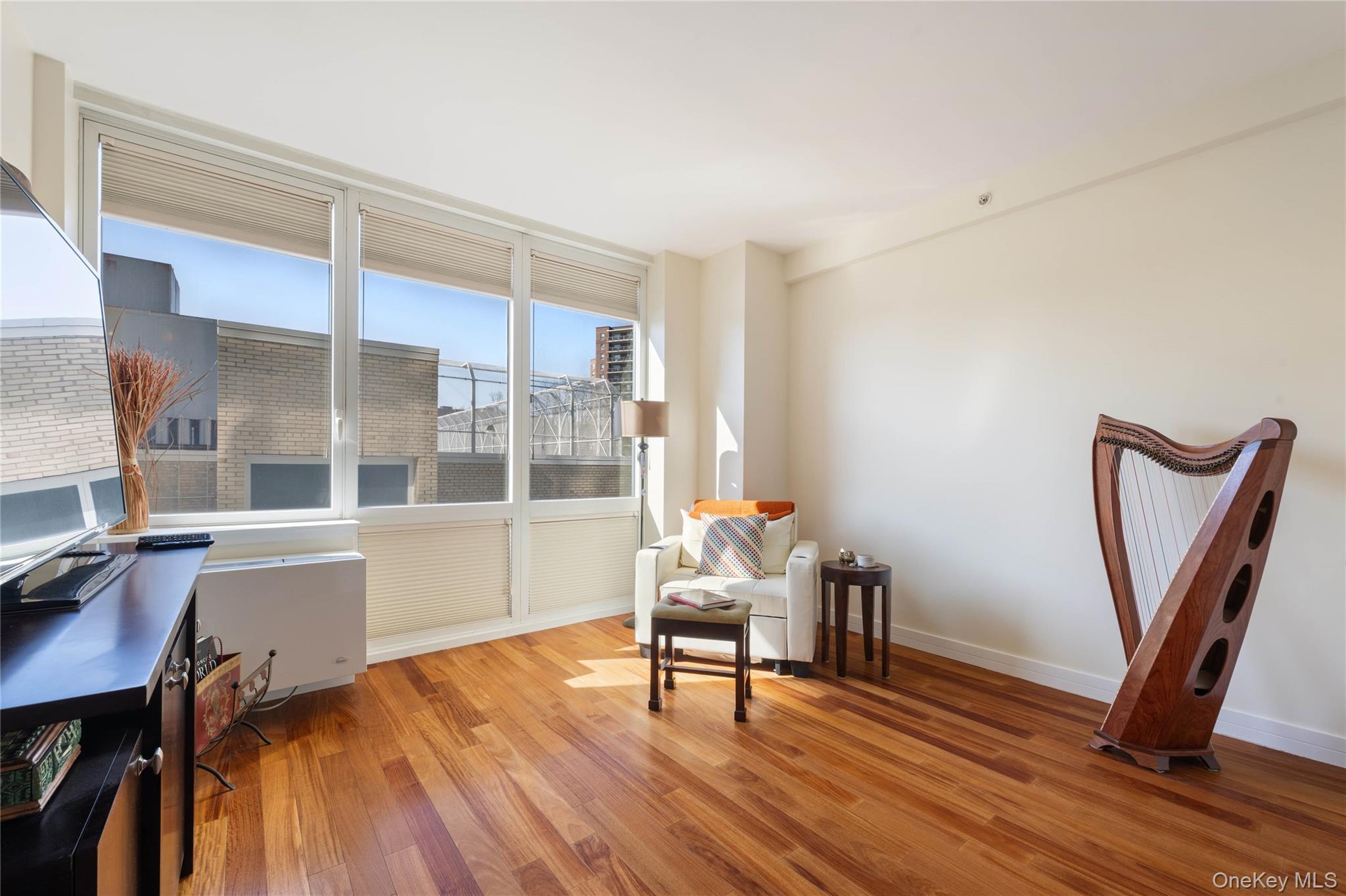 Condo 237th  Bronx, NY 10463, MLS-966127-11