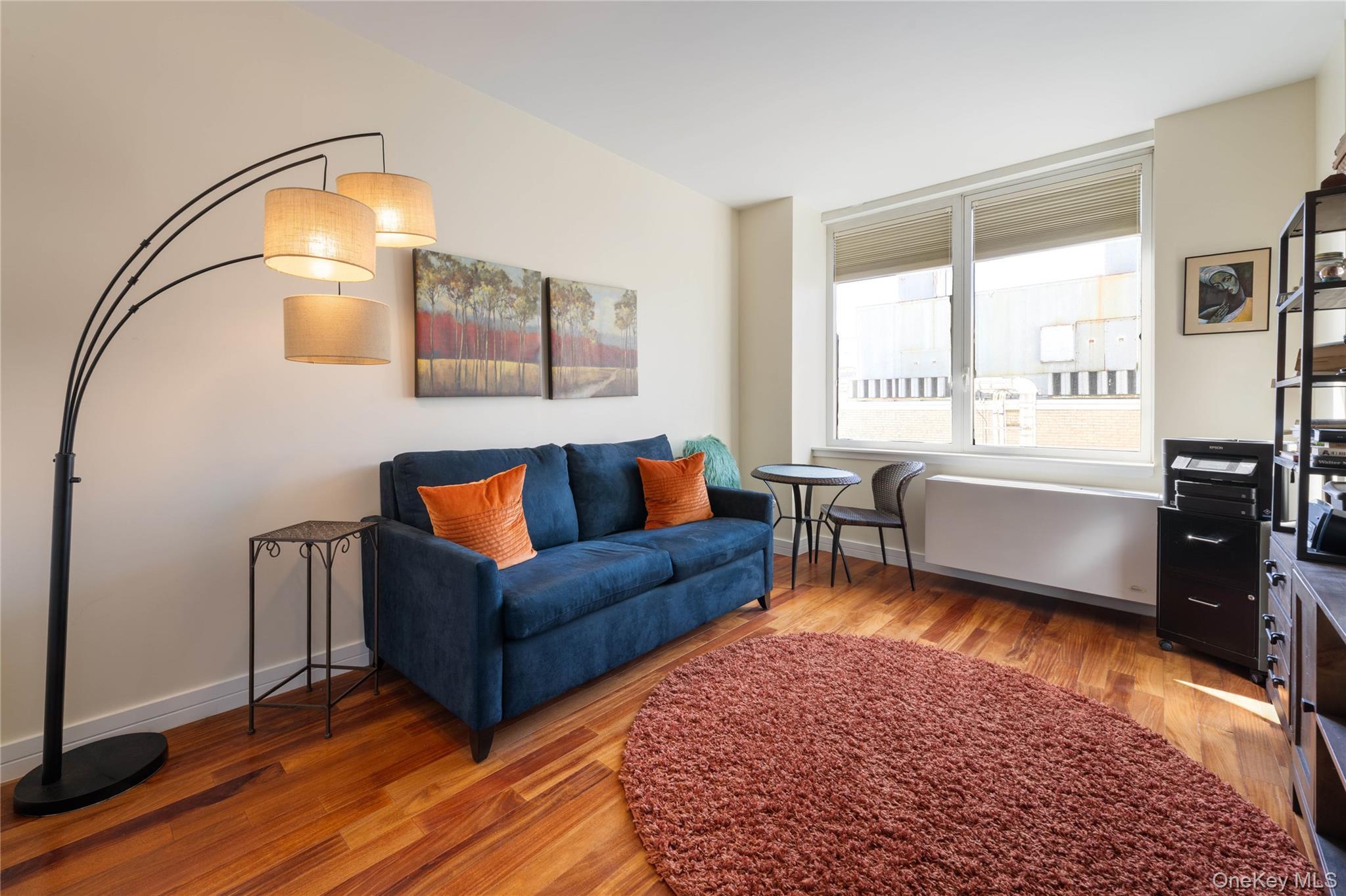 Condo 237th  Bronx, NY 10463, MLS-966127-13