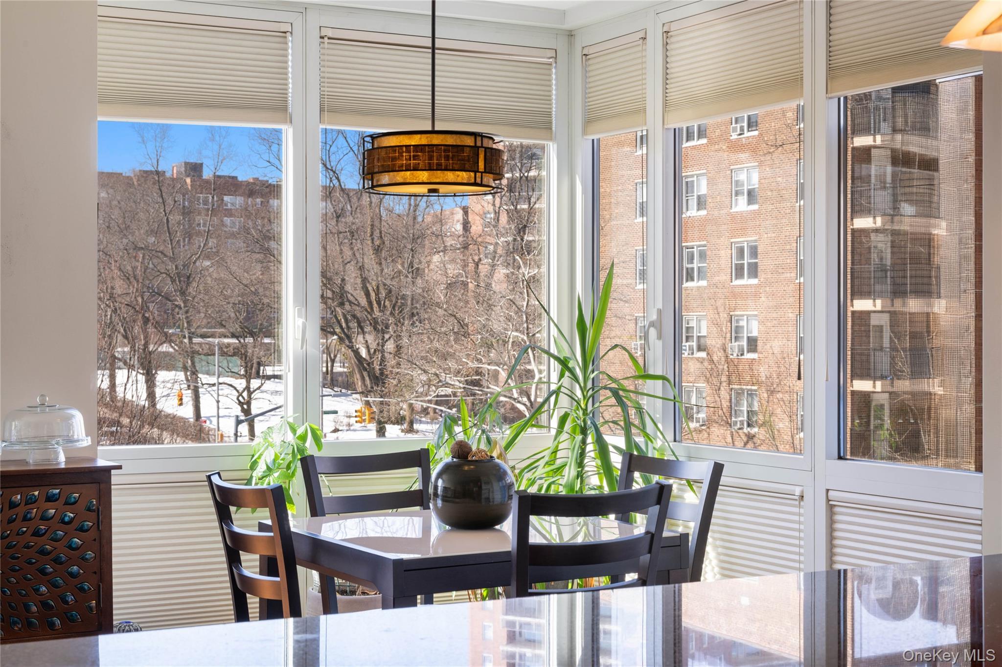 Condo 237th  Bronx, NY 10463, MLS-966127-5