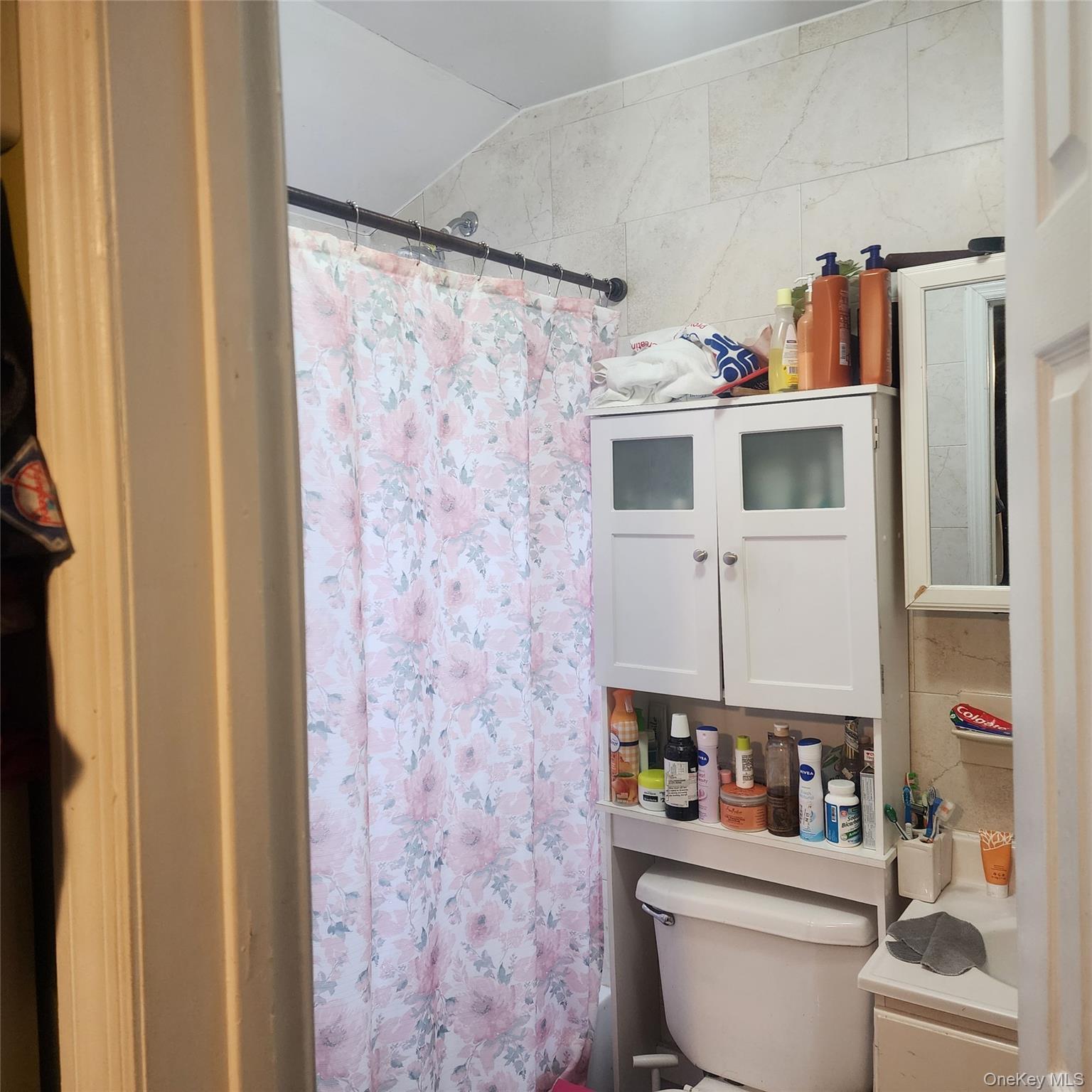 Single Family Tilden  Bronx, NY 10469, MLS-966141-24