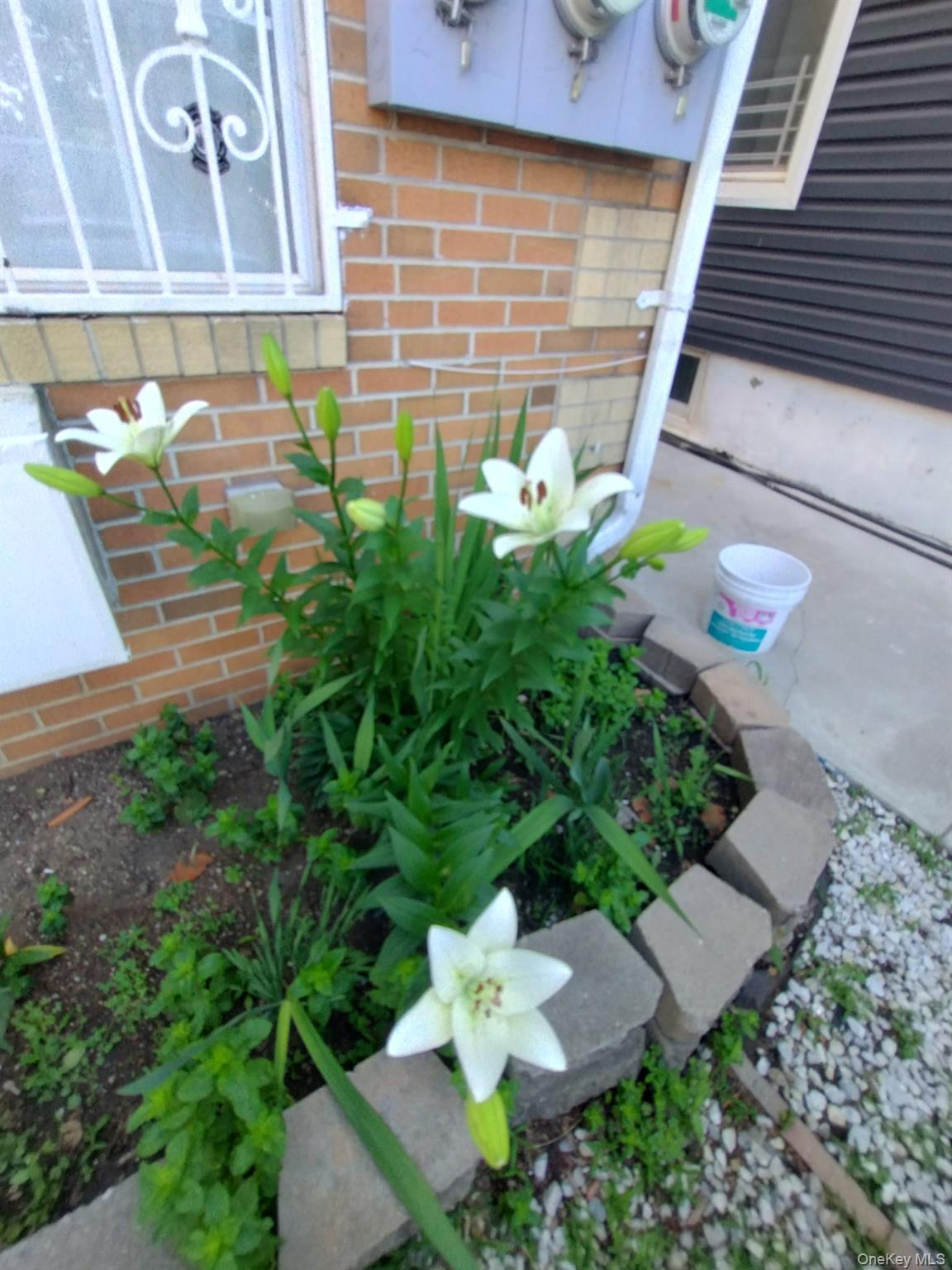 Single Family Tilden  Bronx, NY 10469, MLS-966141-3