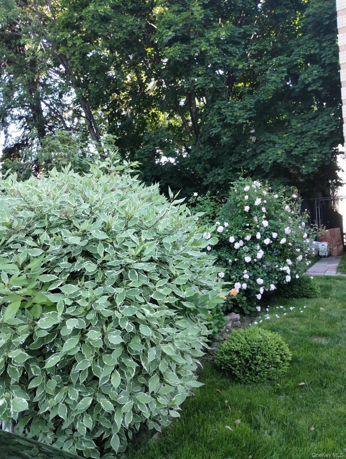 Single Family Tilden  Bronx, NY 10469, MLS-966141-9