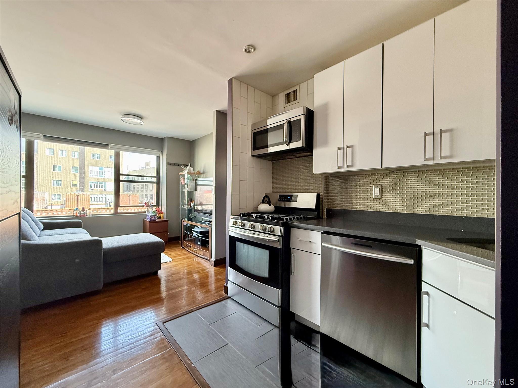 Condo 57th  Queens, NY 11373, MLS-966164-10