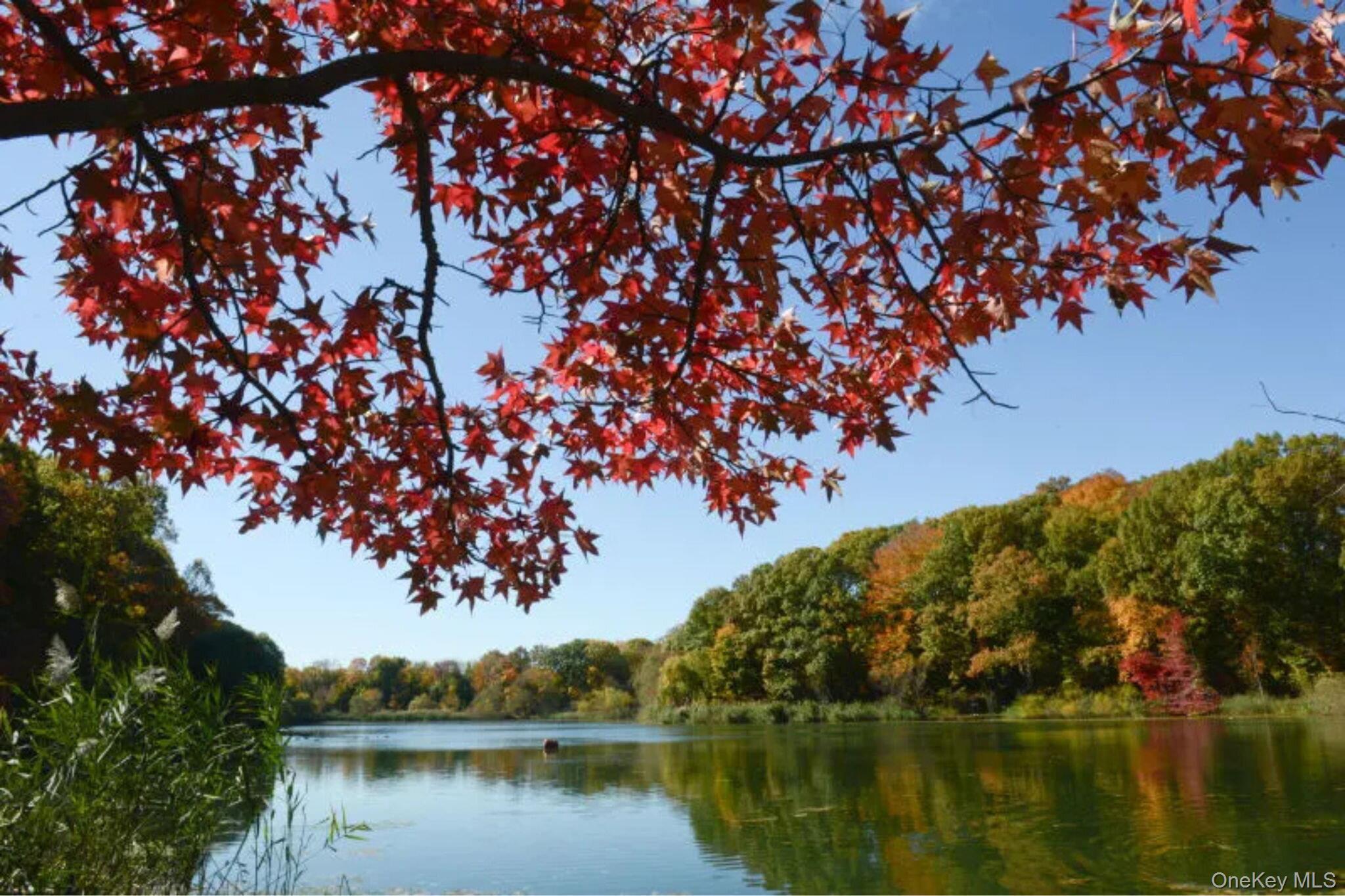 Condo 69th  Queens, NY 11364, MLS-966225-25