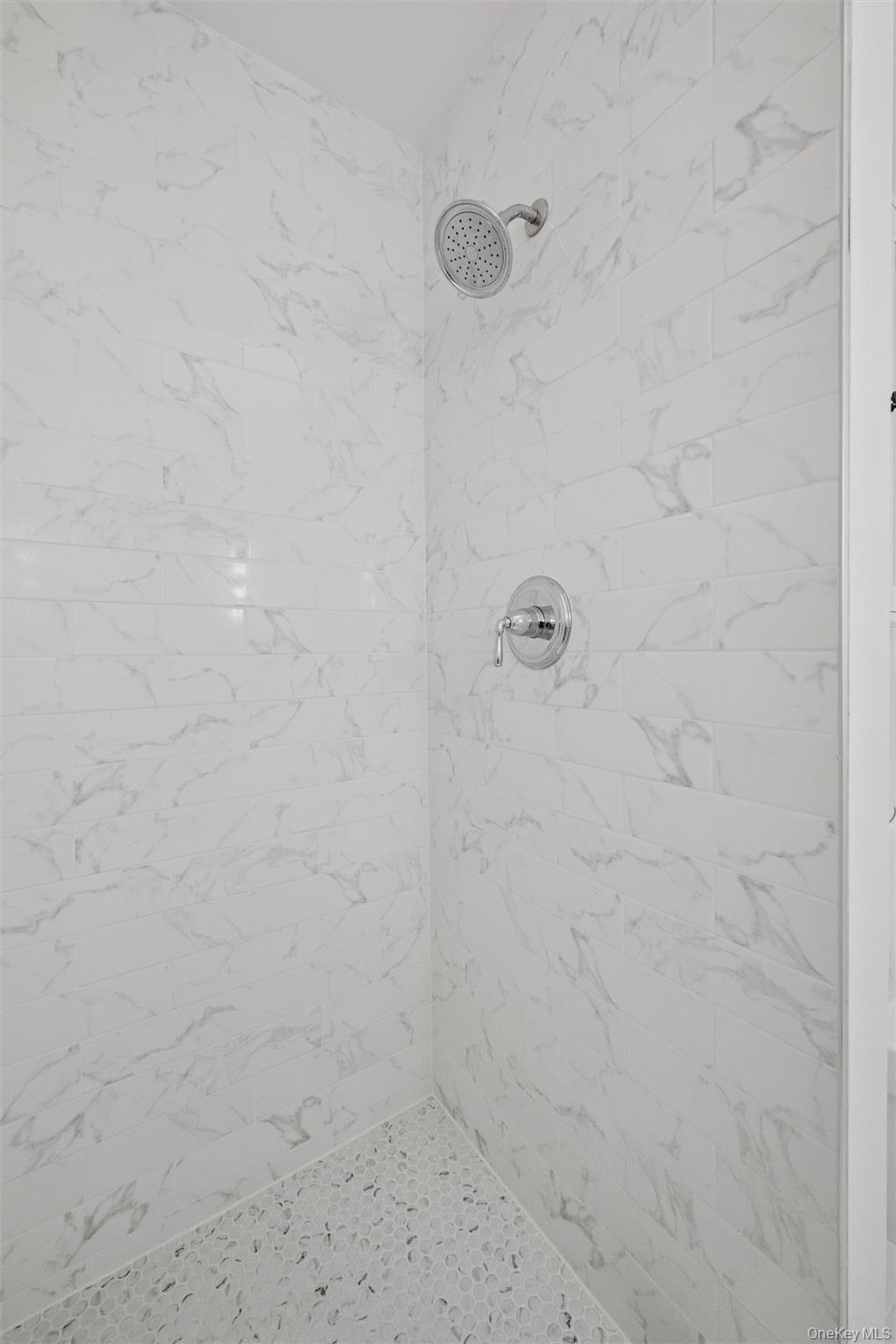 Condo Pheasant  Nassau County, NY 11576, MLS-966230-15