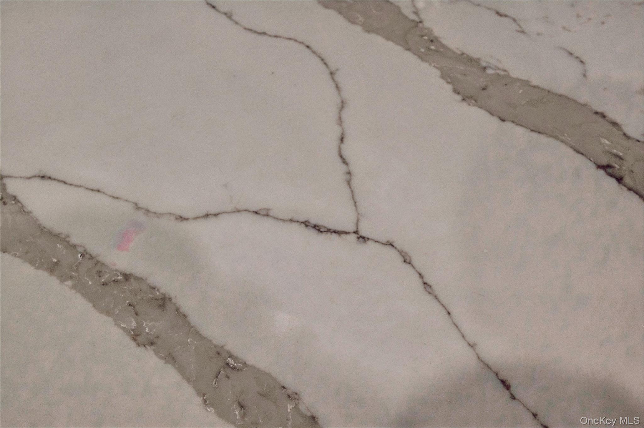 Condo Pheasant  Nassau County, NY 11576, MLS-966230-33