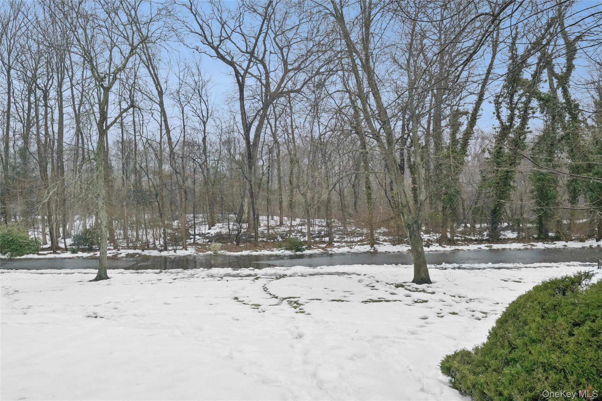 Condo Pheasant  Nassau County, NY 11576, MLS-966230-46