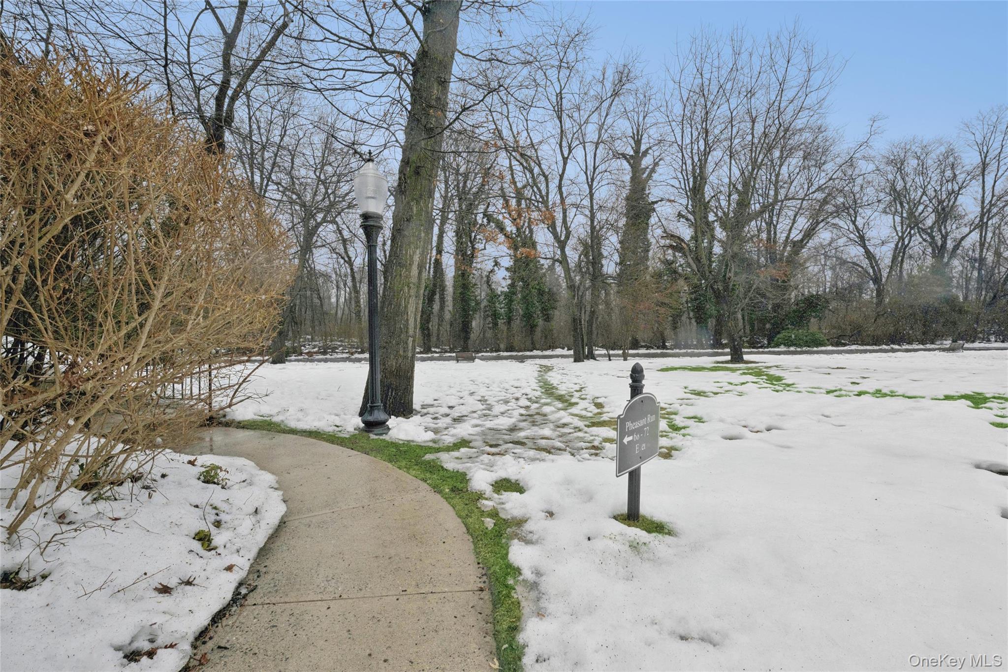 Condo Pheasant  Nassau County, NY 11576, MLS-966230-48