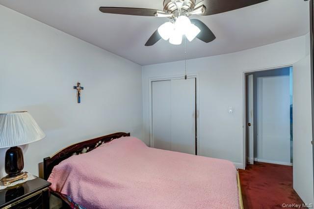 Single Family Cook  Queens, NY 11379, MLS-966329-12