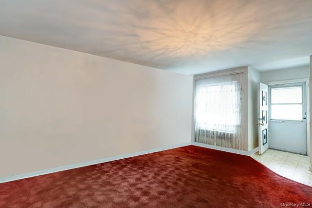 Single Family Cook  Queens, NY 11379, MLS-966329-2