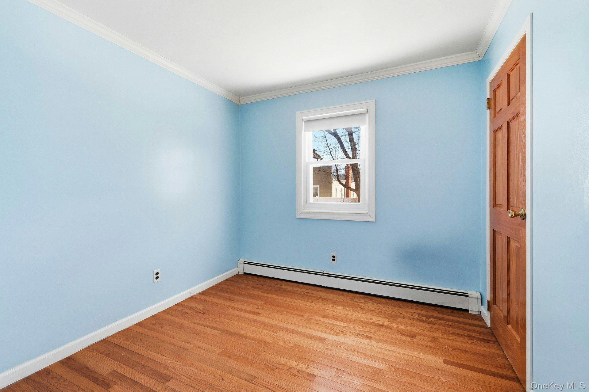 Single Family Thomas  Nassau County, NY 11510, MLS-966330-16
