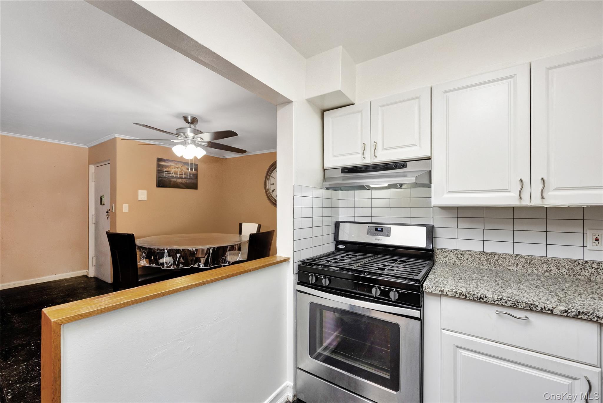 Condo Tahoe  Queens, NY 11417, MLS-966391-7