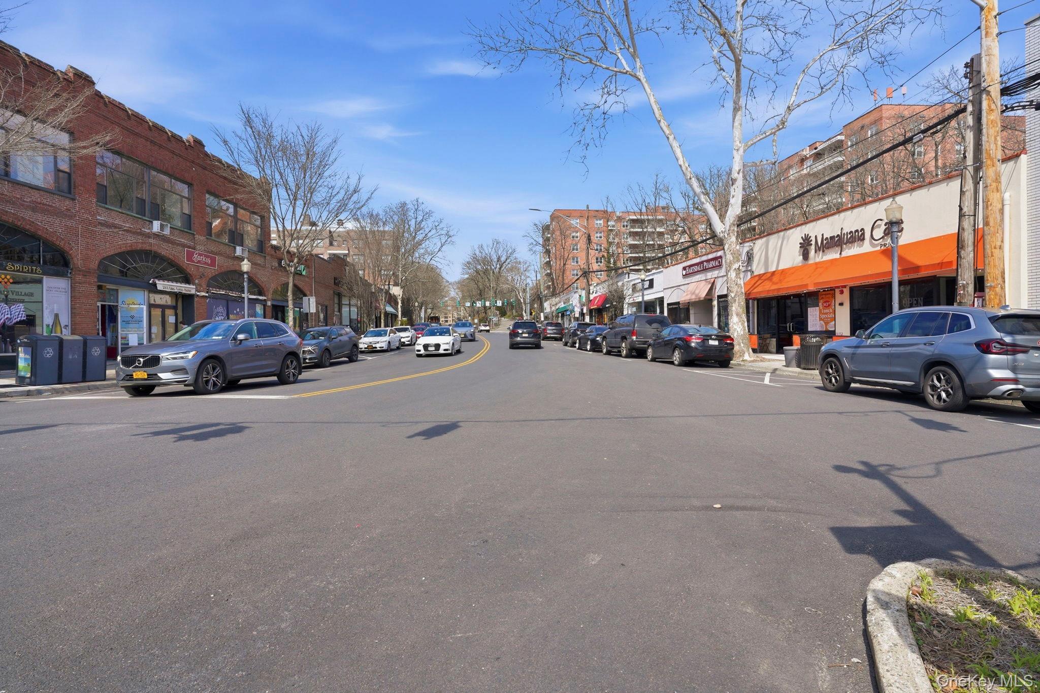 Coop Hartsdale Westchester County, NY 10530, MLS-966400-18