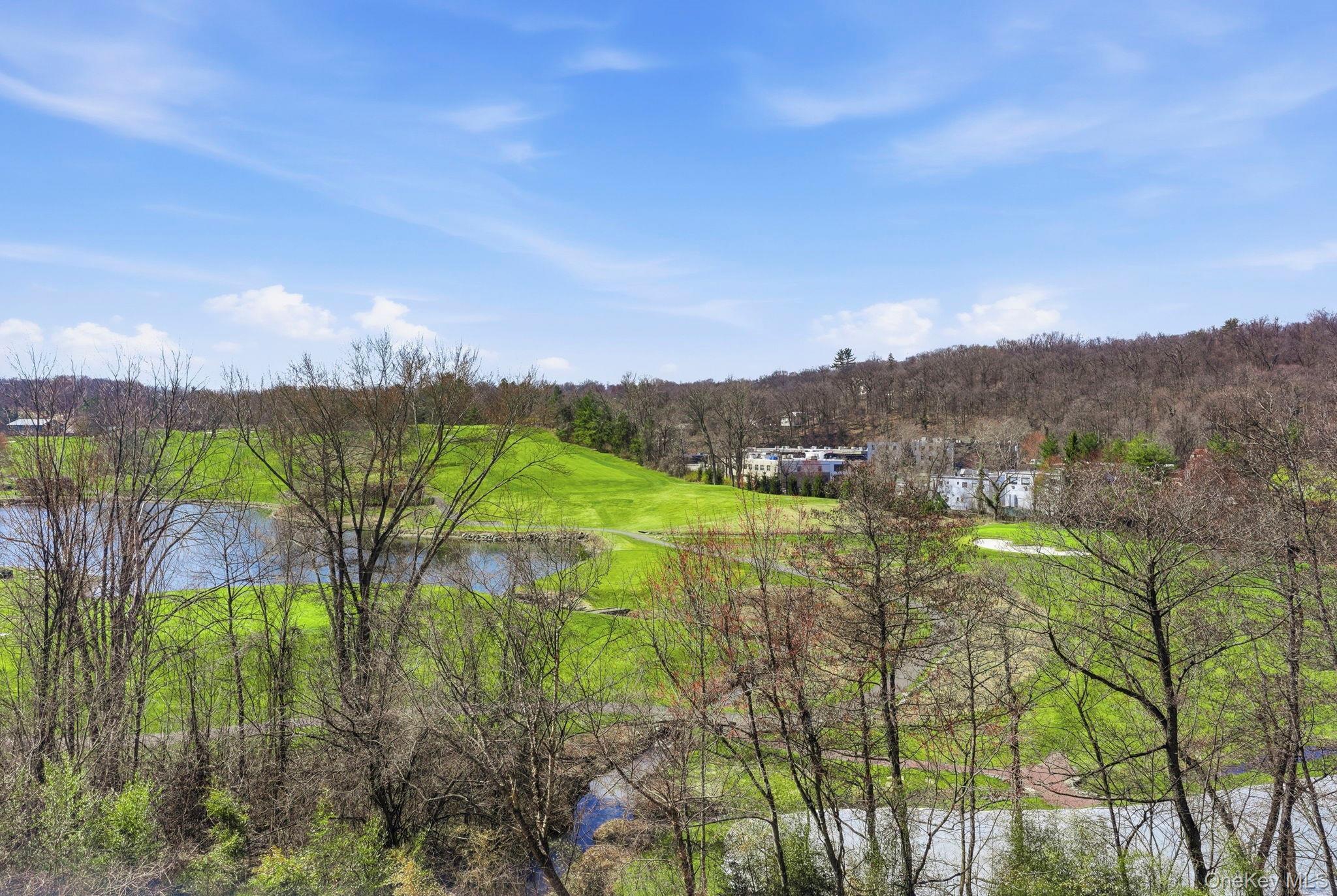 Coop Hartsdale Westchester County, NY 10530, MLS-966400-20