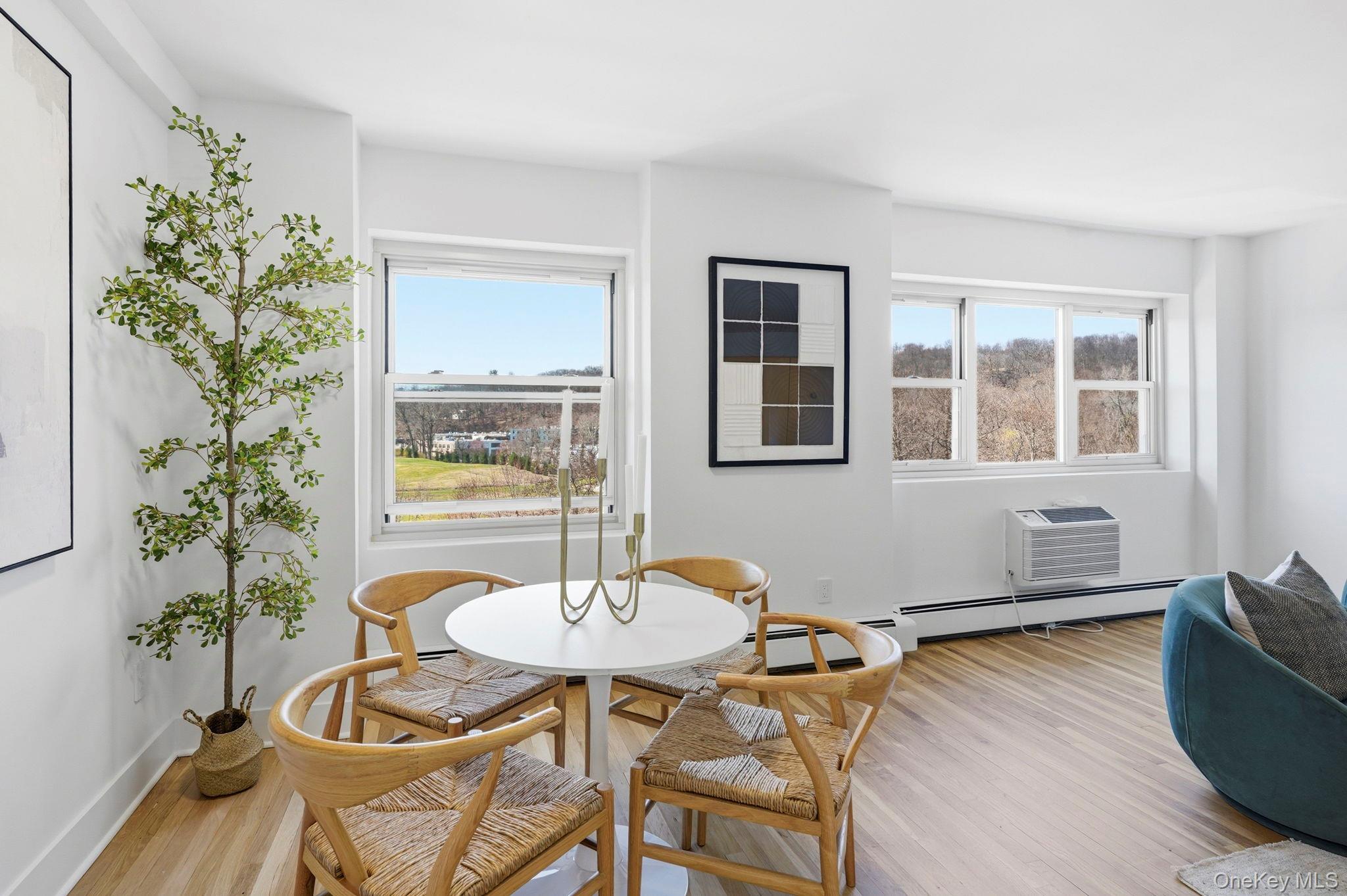 Coop Hartsdale Westchester County, NY 10530, MLS-966400-5