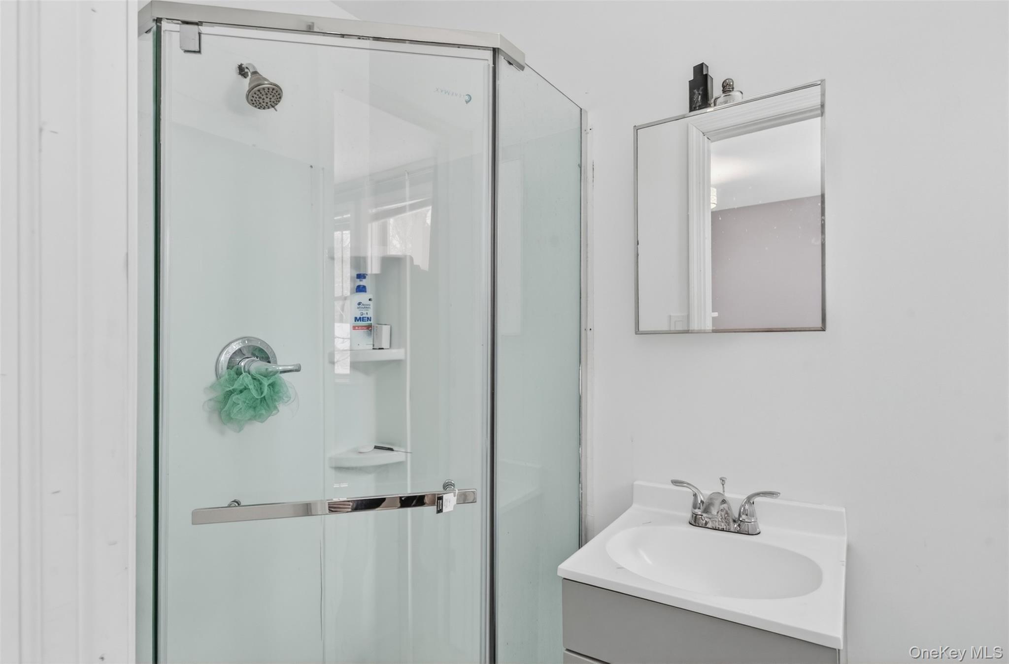 Single Family Maple  Sullivan County, NY 12779, MLS-966415-16