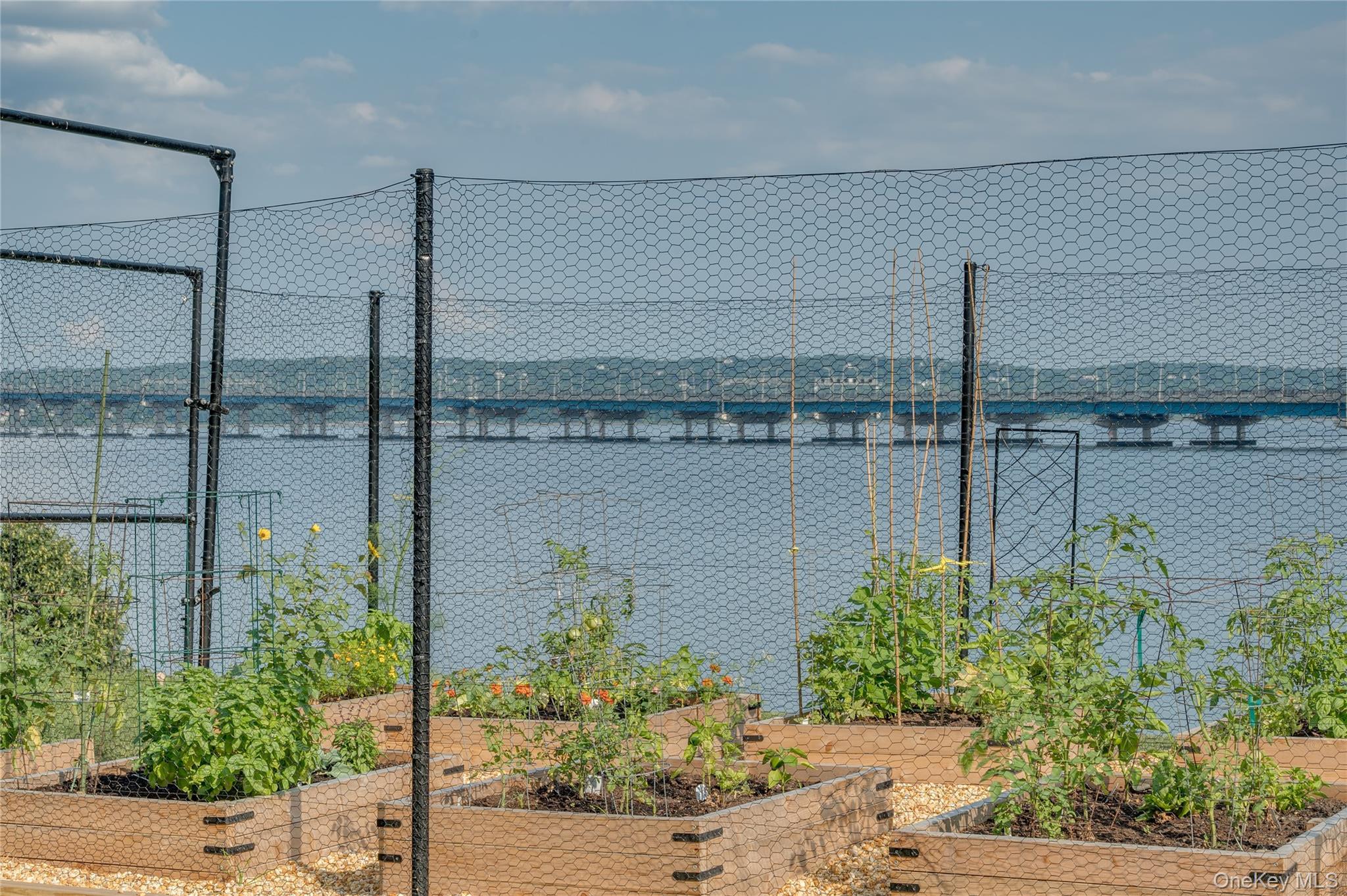 Coop Salisbury  Rockland County, NY 10960, MLS-966455-29