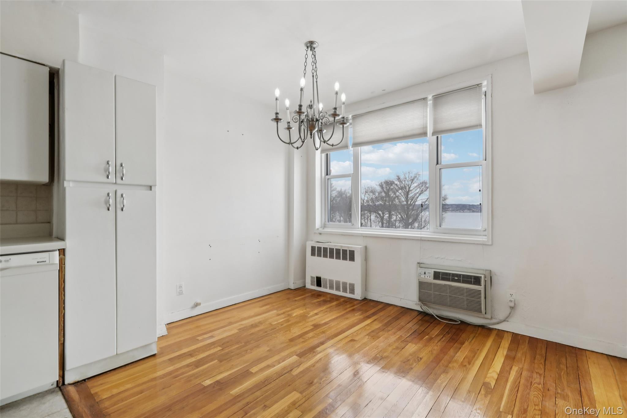 Coop Salisbury  Rockland County, NY 10960, MLS-966455-6