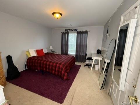 Single Family Bridle  Orange County, NY 10924, MLS-966494-21