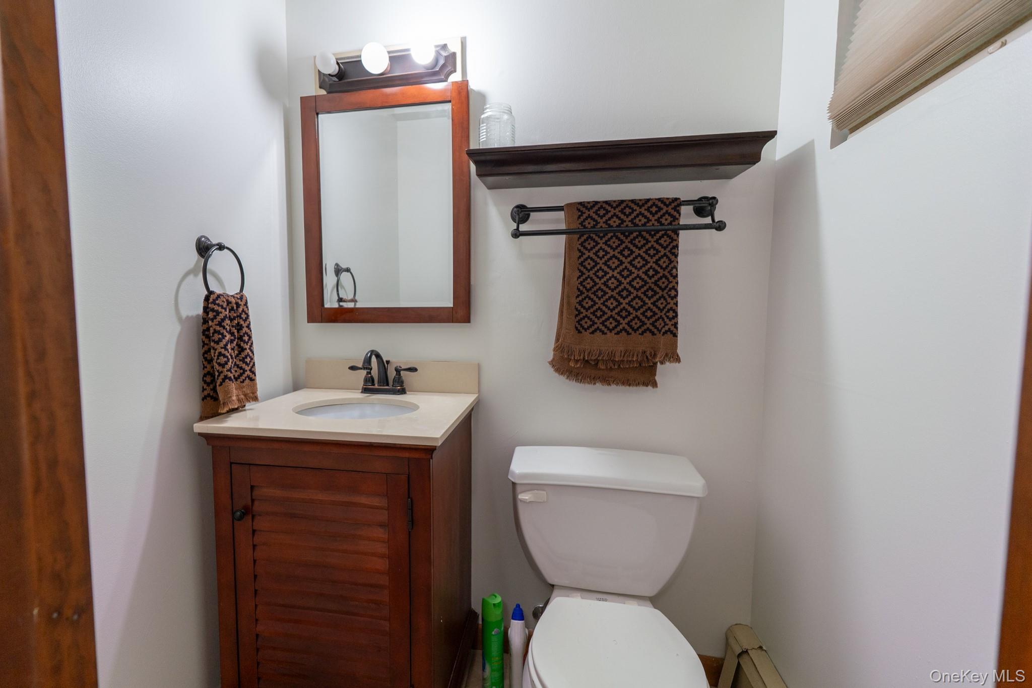 Single Family Mountain  Dutchess County, NY 12569, MLS-966561-24