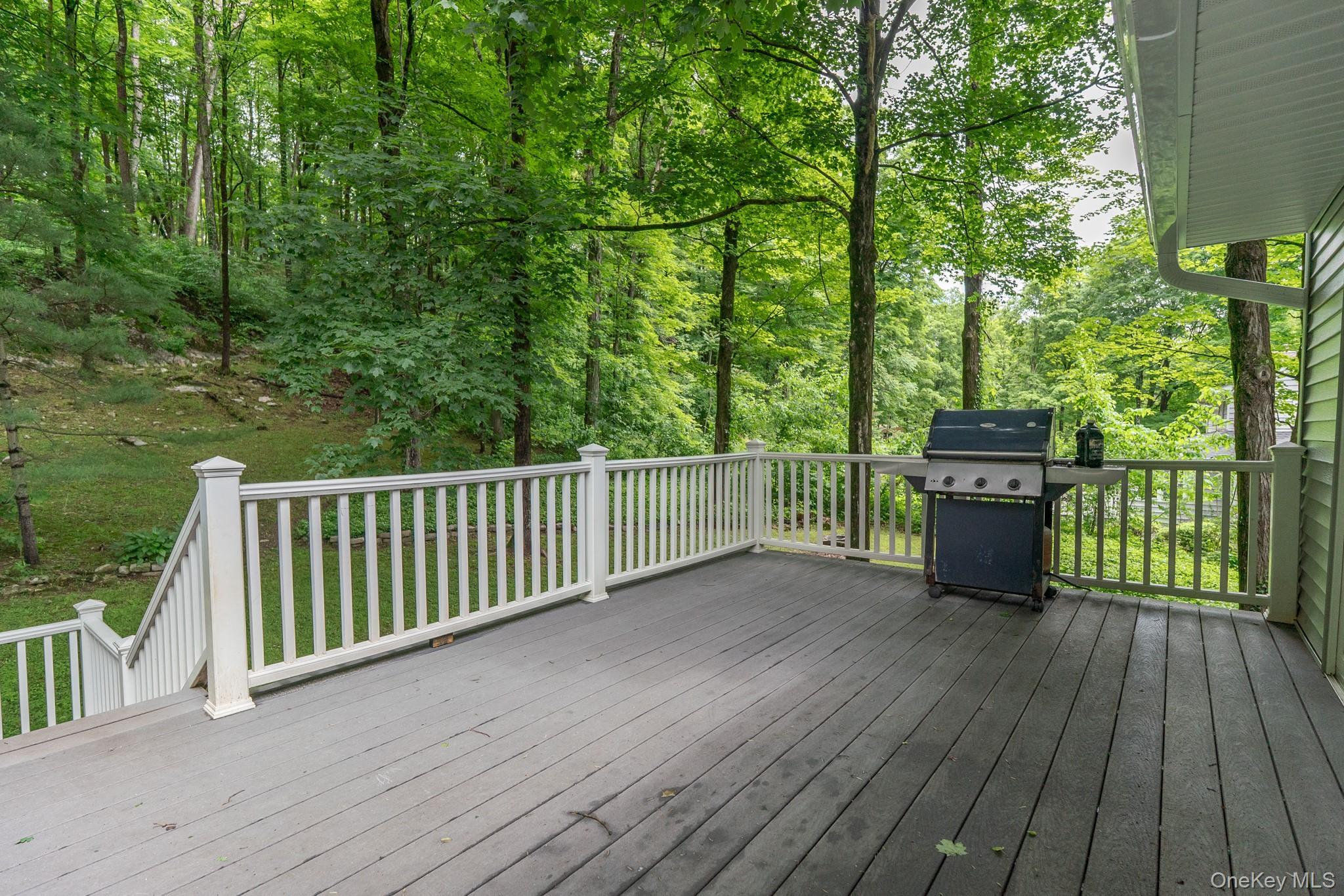 Single Family Mountain  Dutchess County, NY 12569, MLS-966561-31