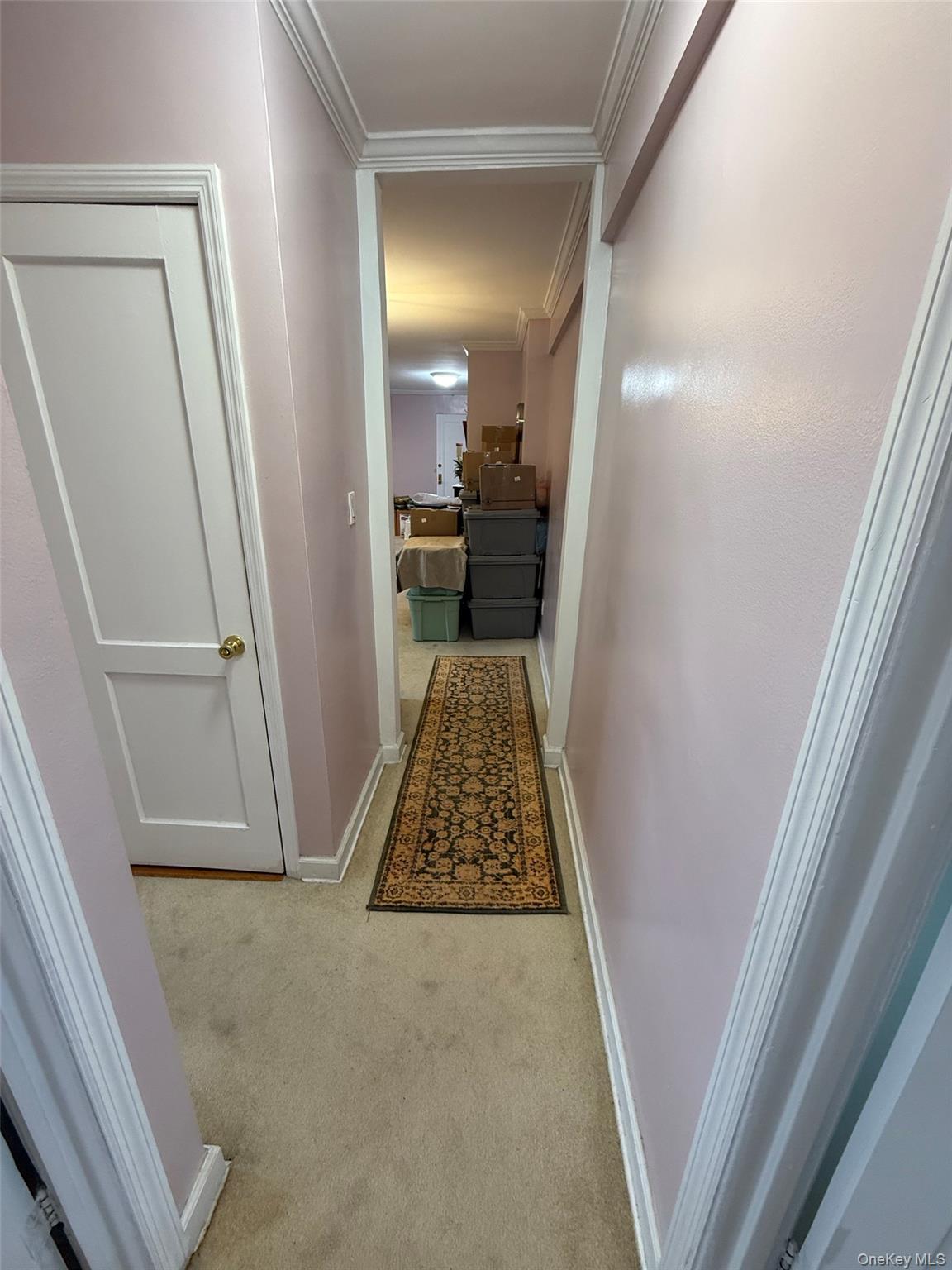 Coop 48th Queens, NY 11364, MLS-966595-10