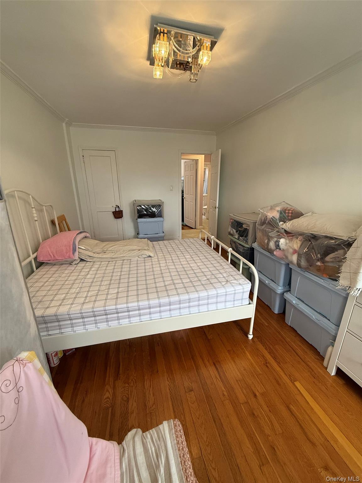 Coop 48th Queens, NY 11364, MLS-966595-12