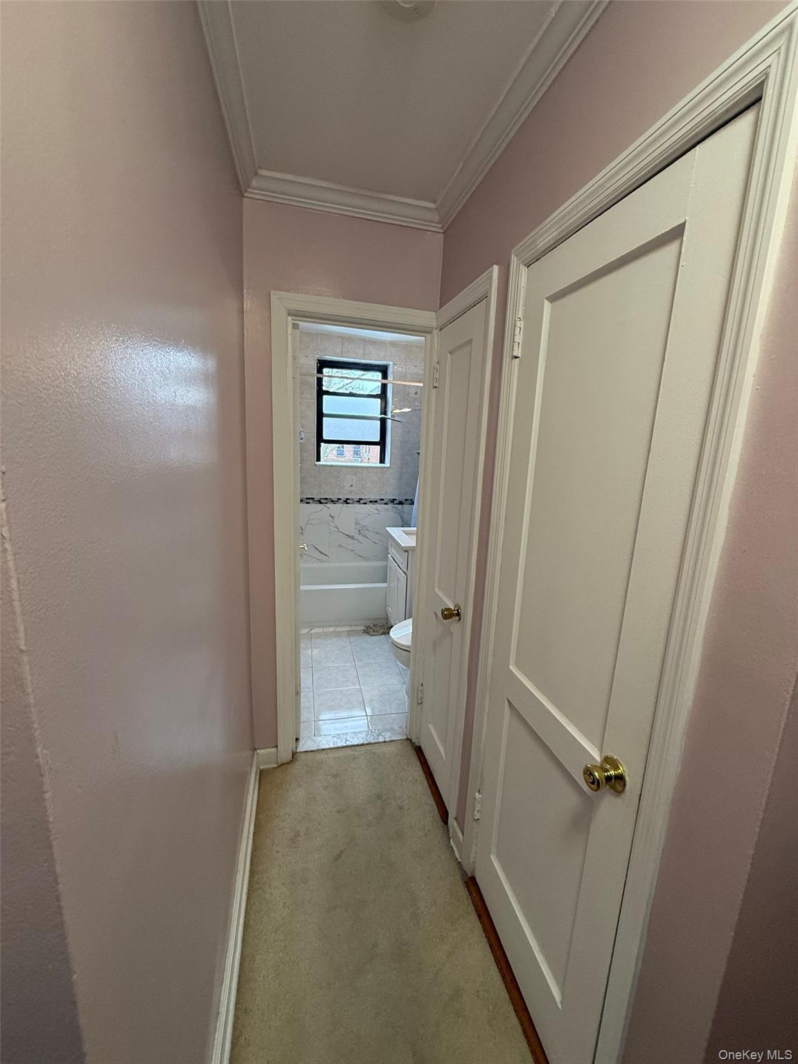 Coop 48th Queens, NY 11364, MLS-966595-13