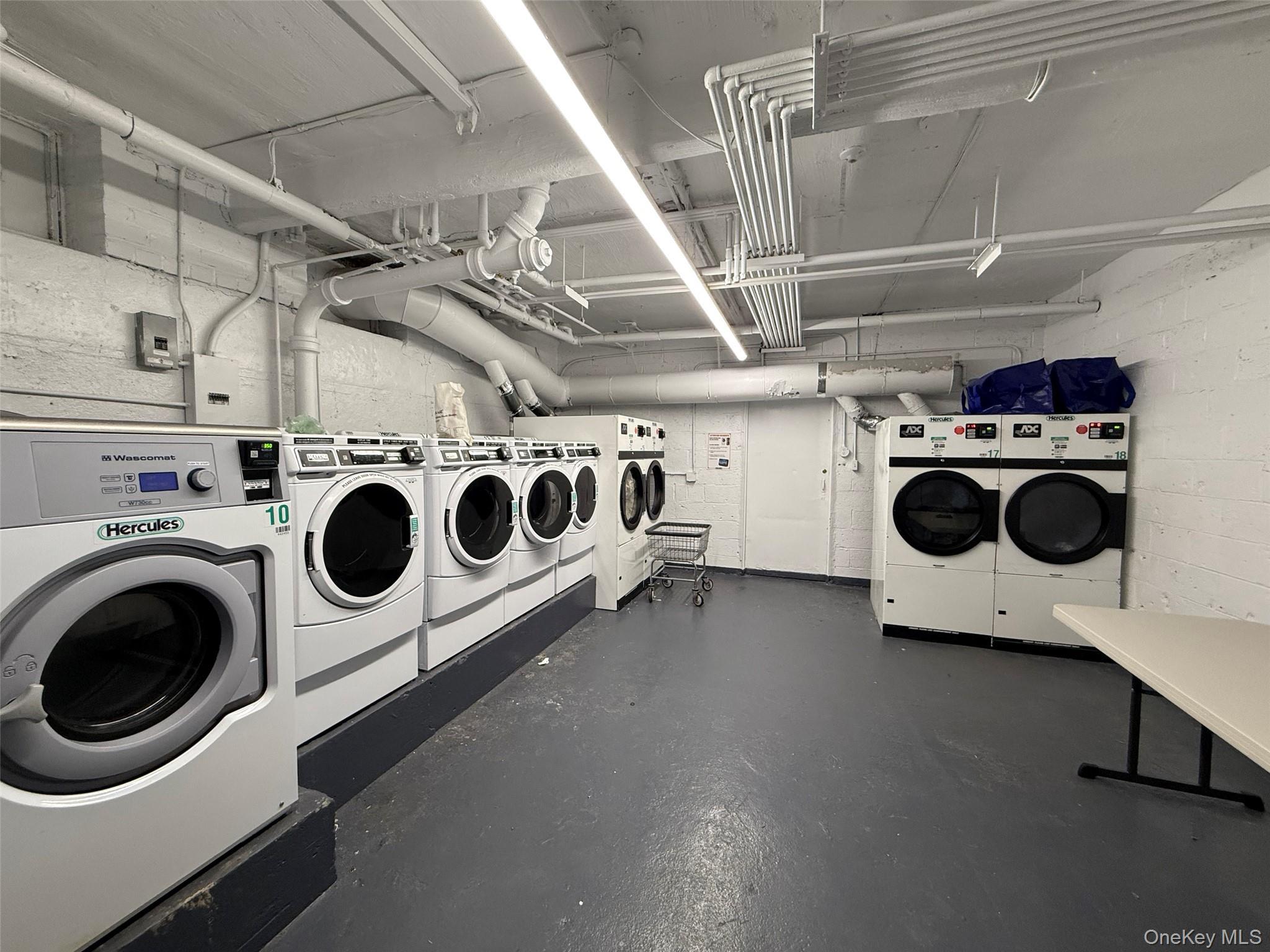 Coop 48th  Queens, NY 11364, MLS-966595-15