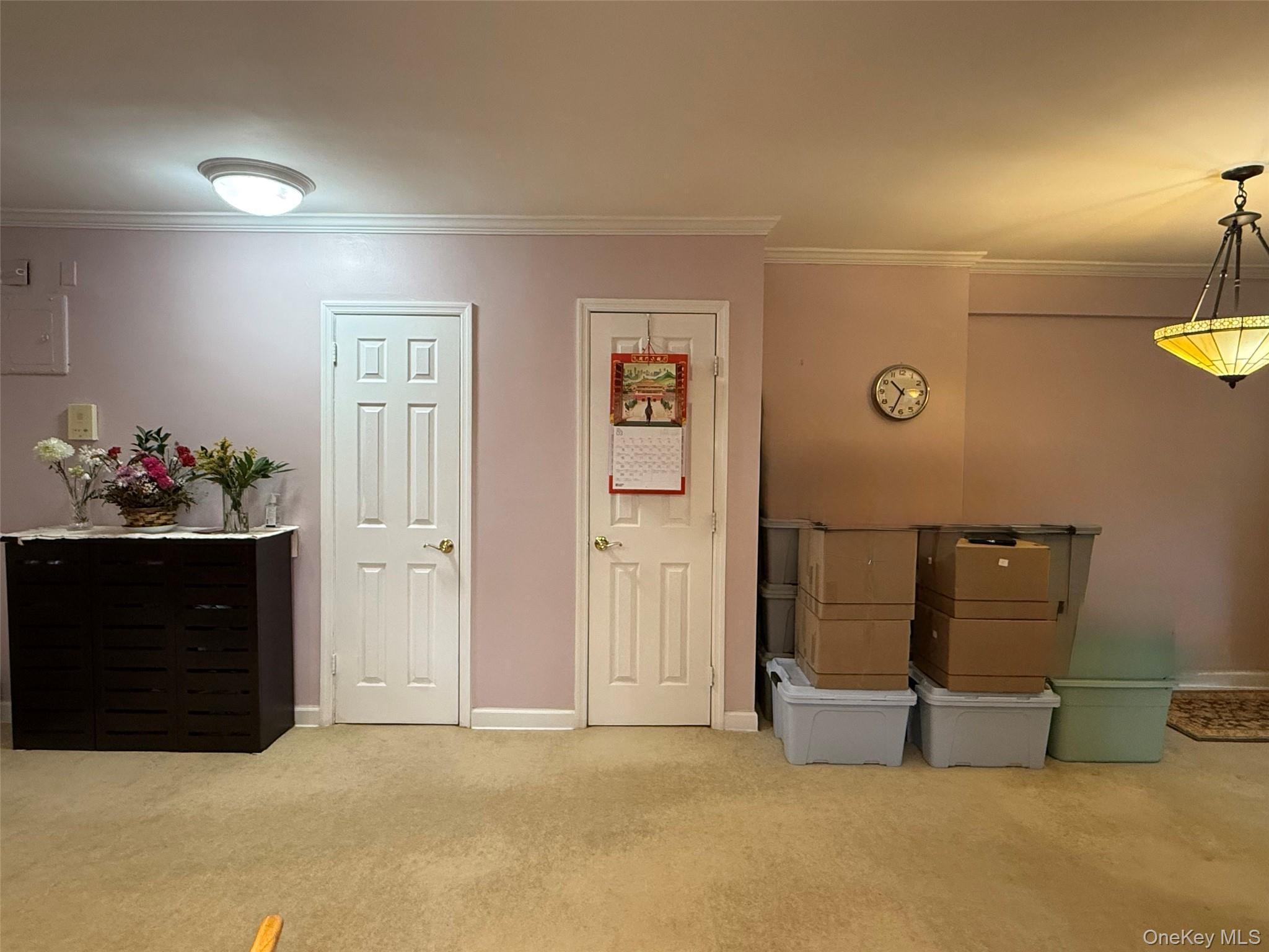 Coop 48th Queens, NY 11364, MLS-966595-5