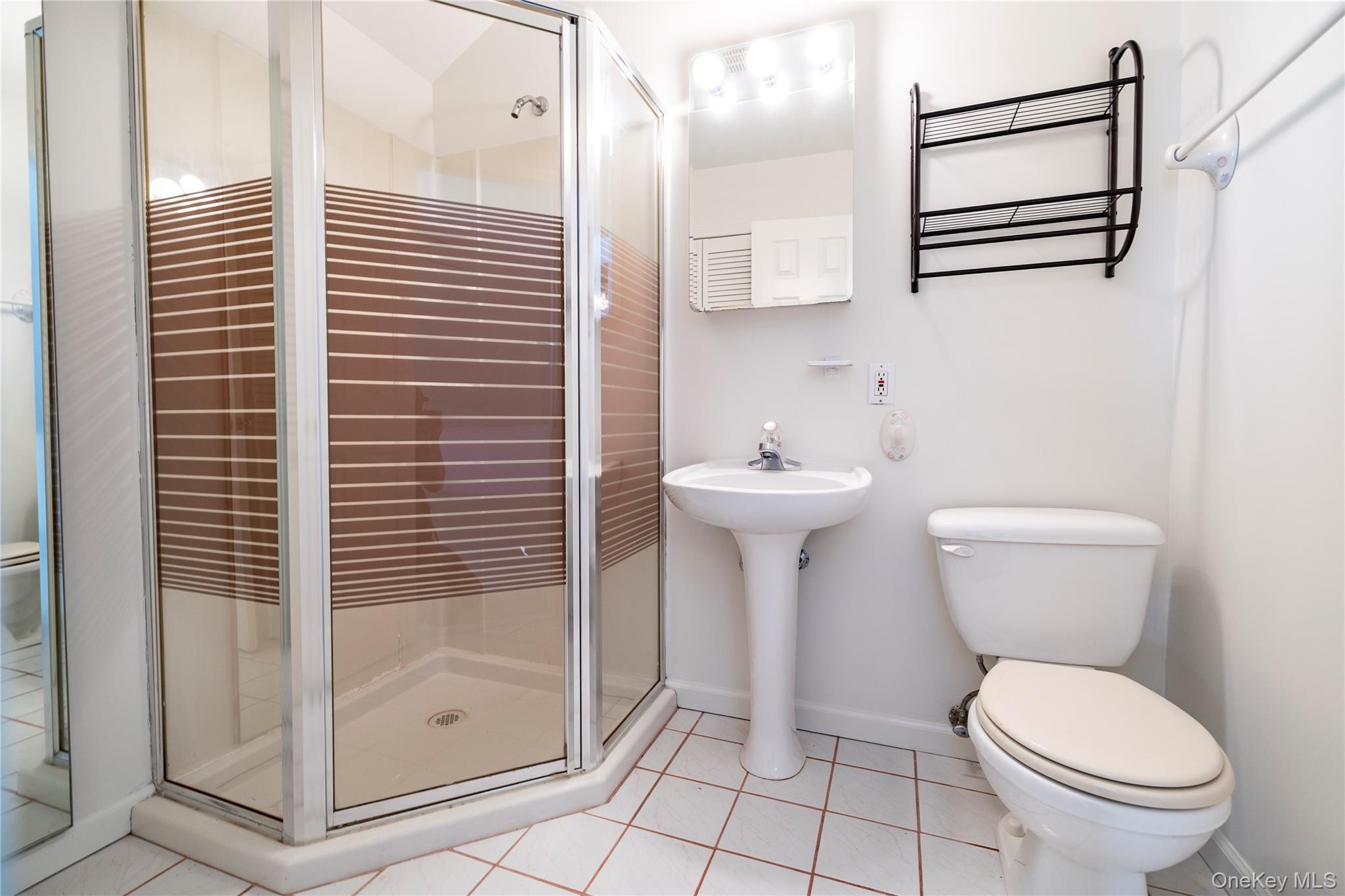 Condo Ridgewood Nassau County, NY 11793, MLS-966631-24